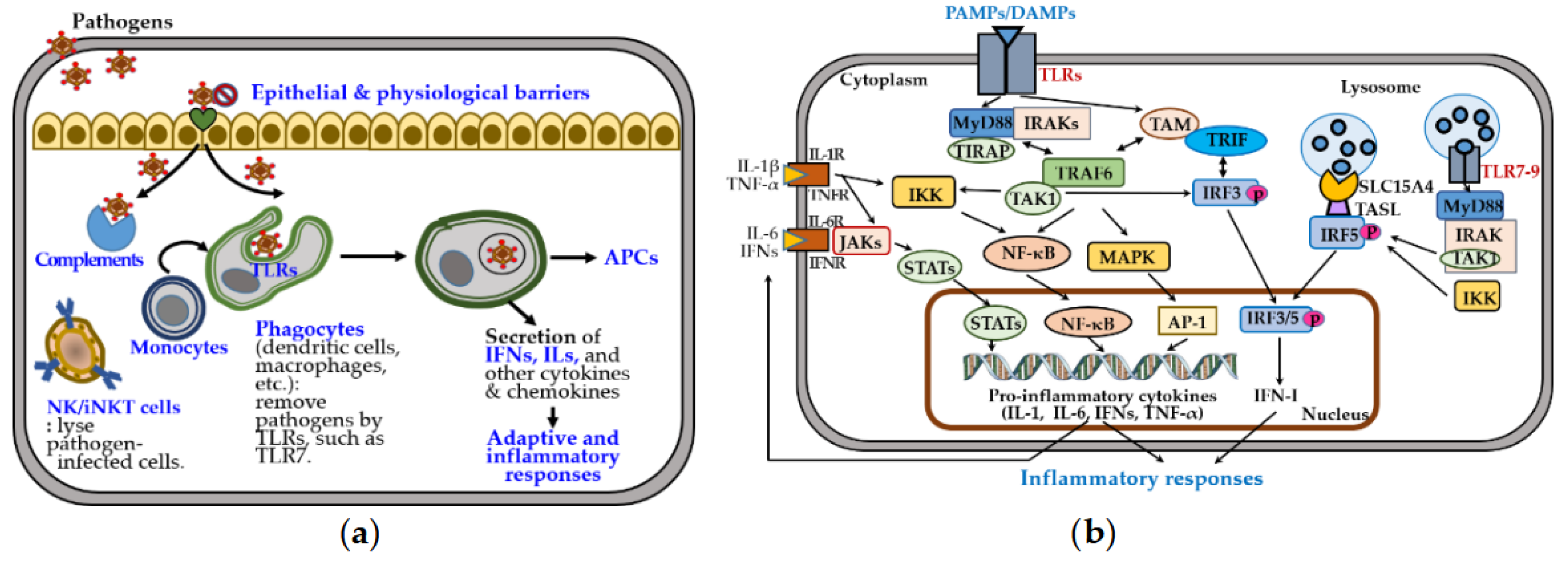 Preprints 162497 g002