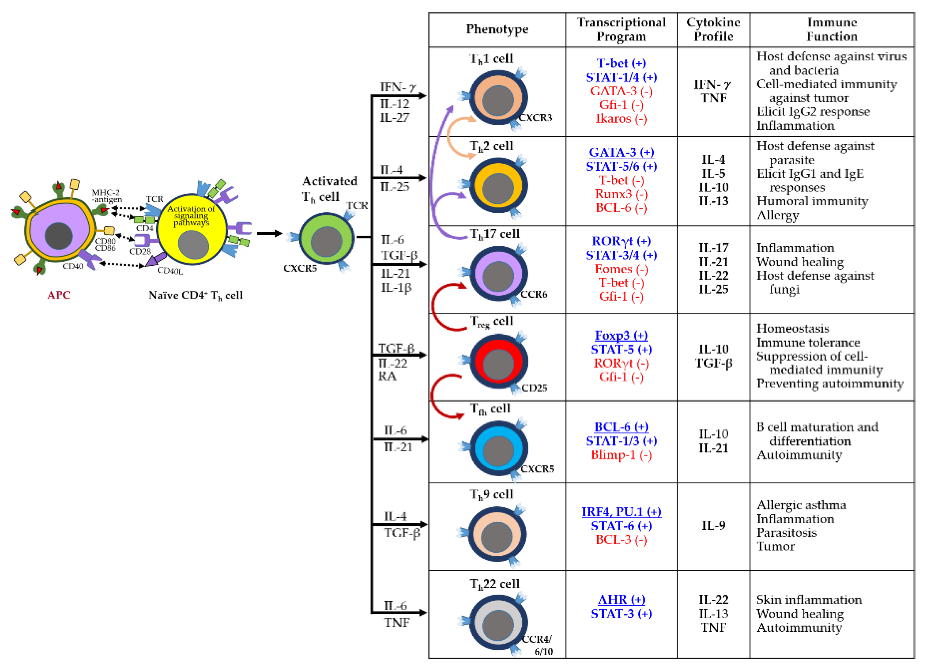 Preprints 162497 g003