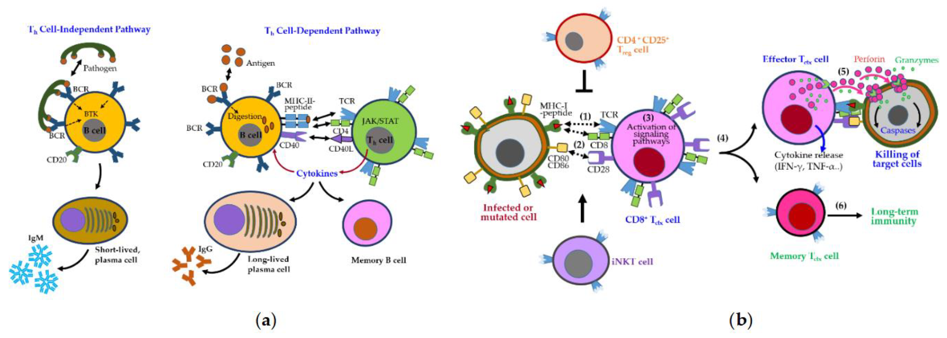 Preprints 162497 g004