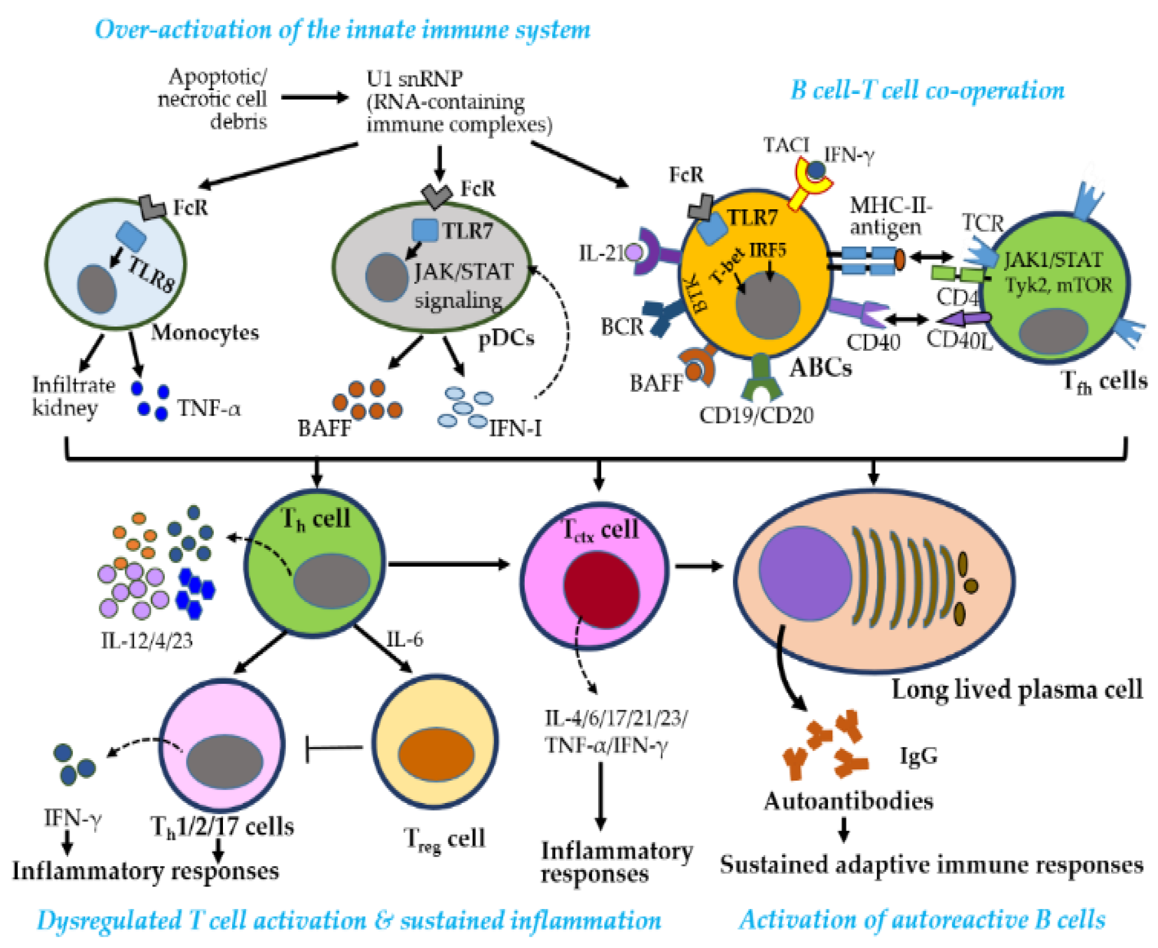 Preprints 162497 g005