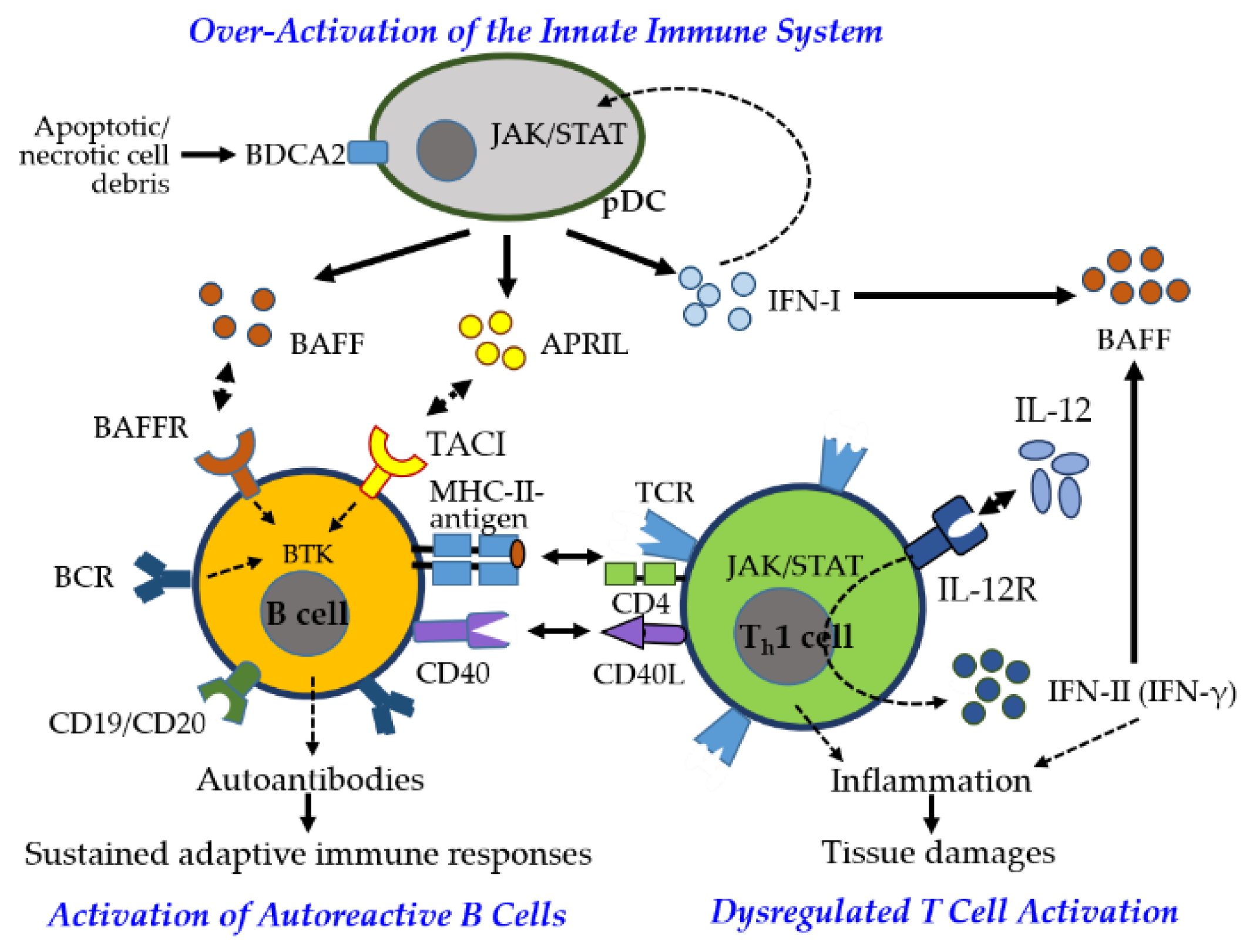 Preprints 162497 g006