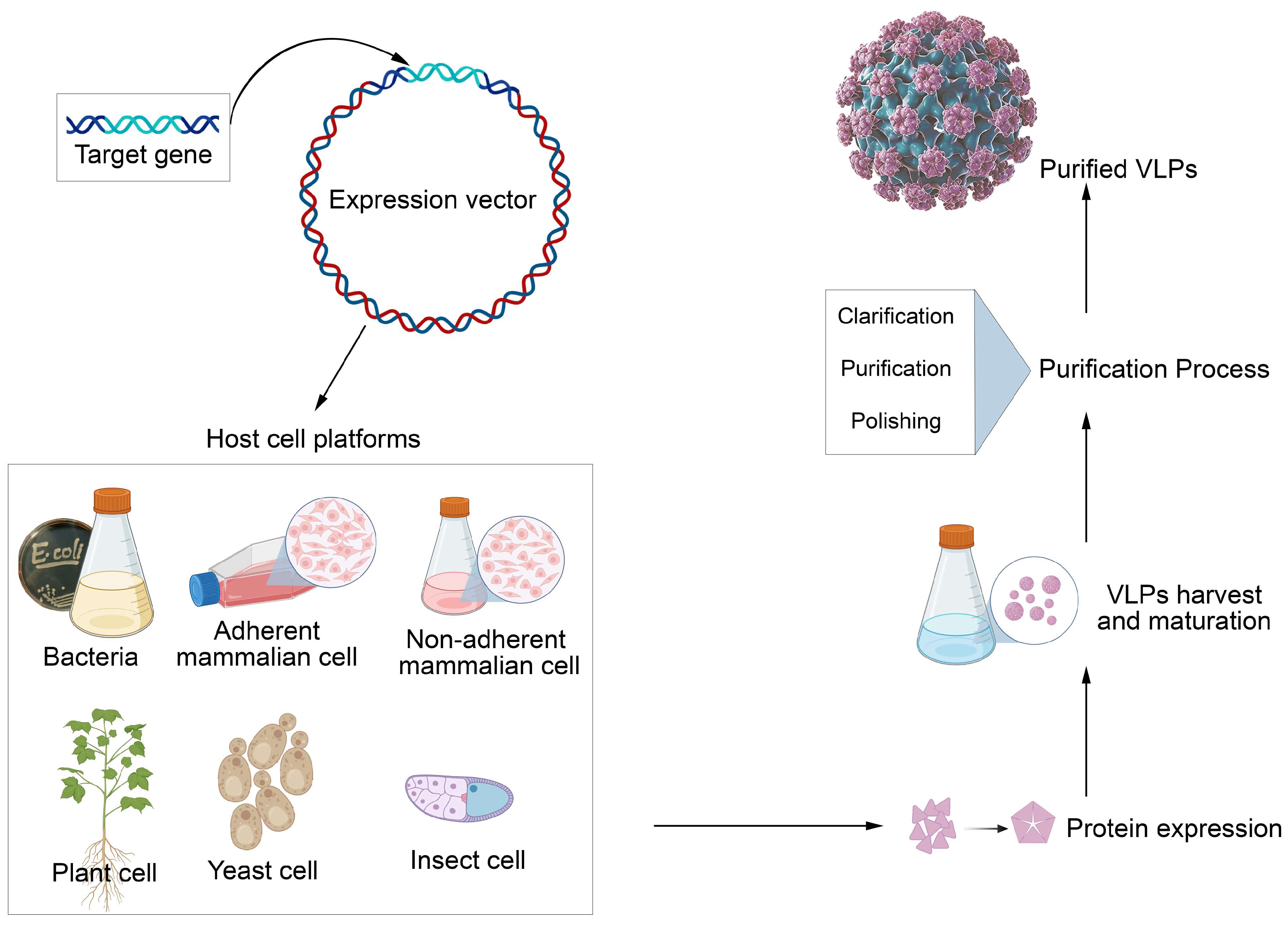 Preprints 152036 g002