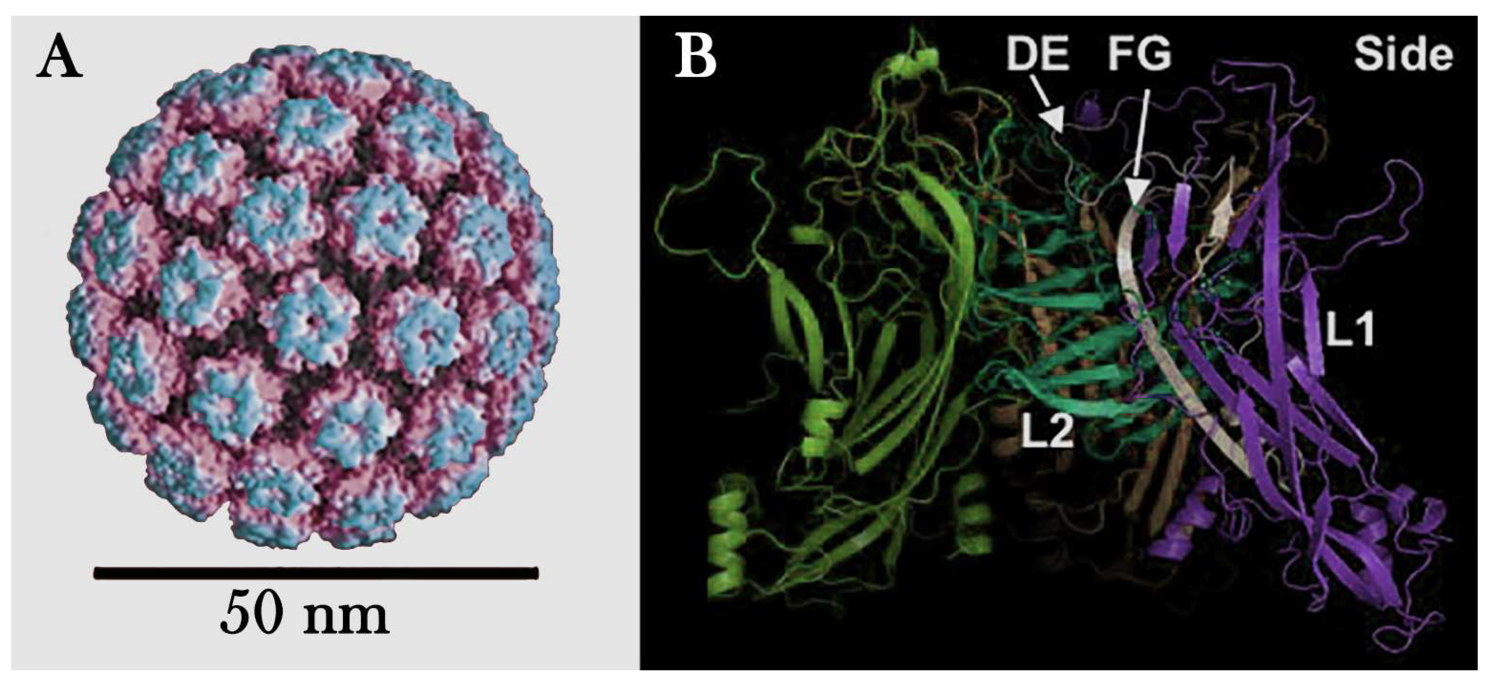 Preprints 152036 g003