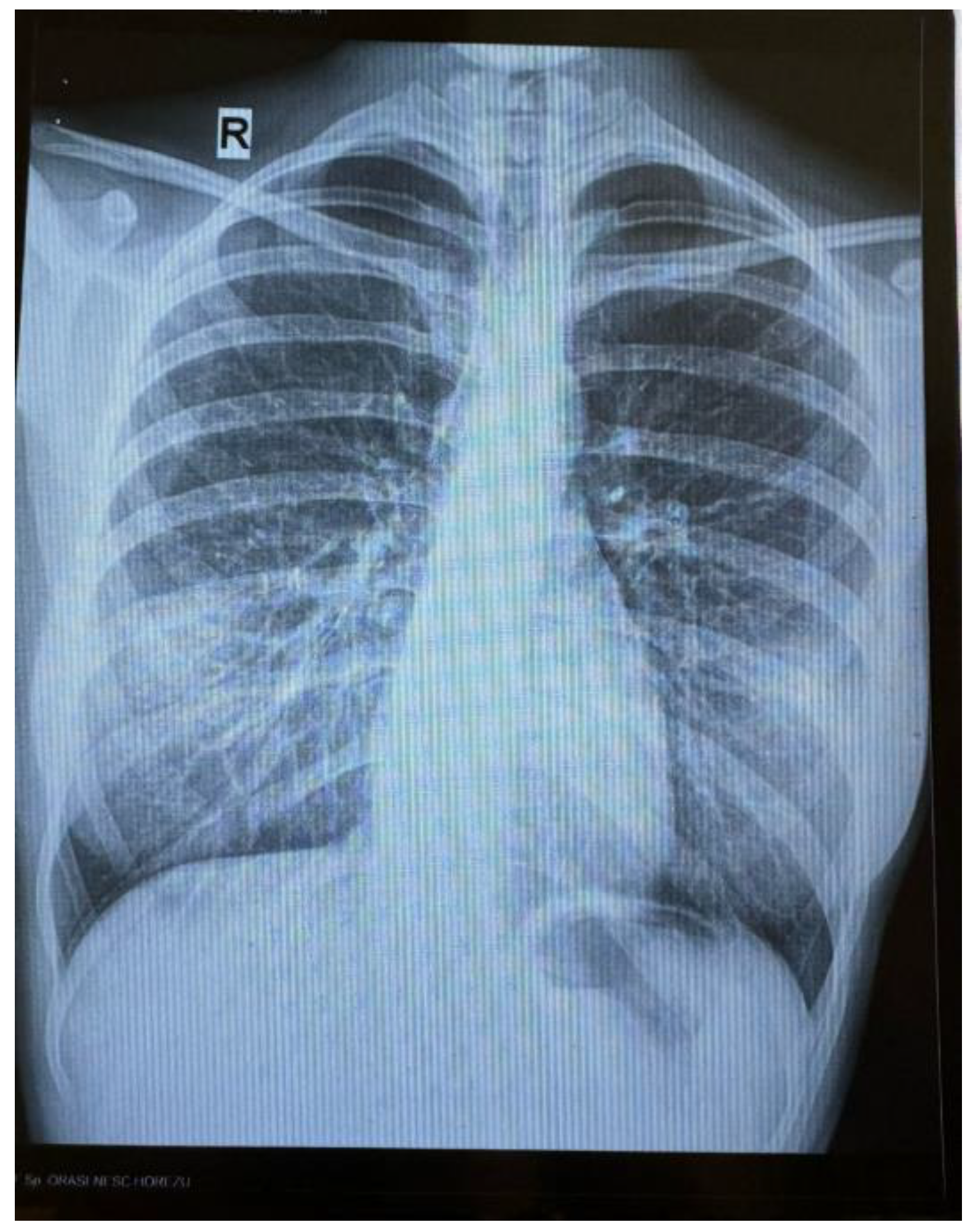 Preprints 151379 g001