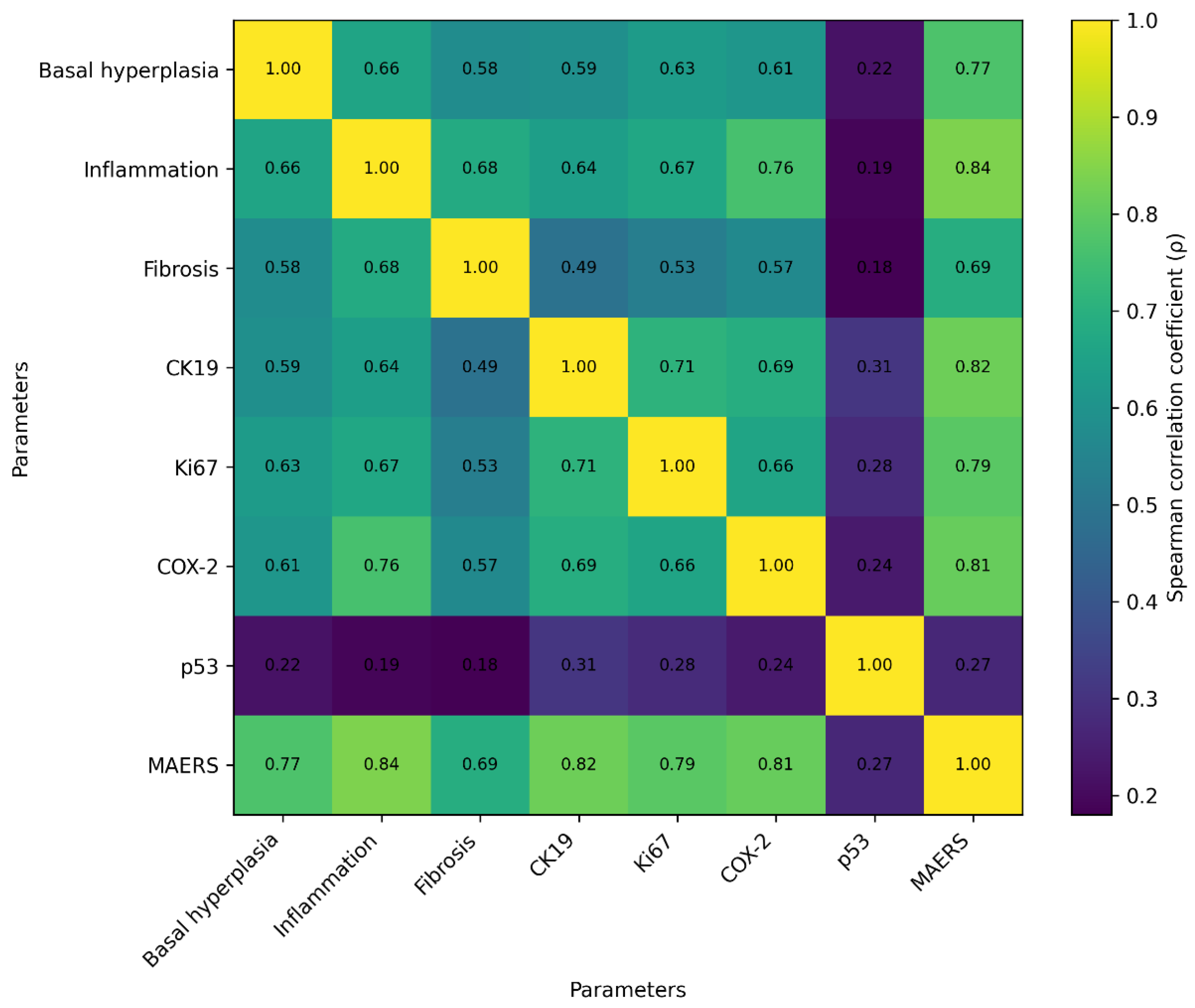 Preprints 218280 g004 Preprints 218280 g004