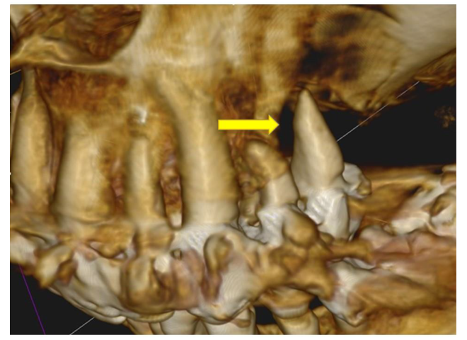 Preprints 165312 g002