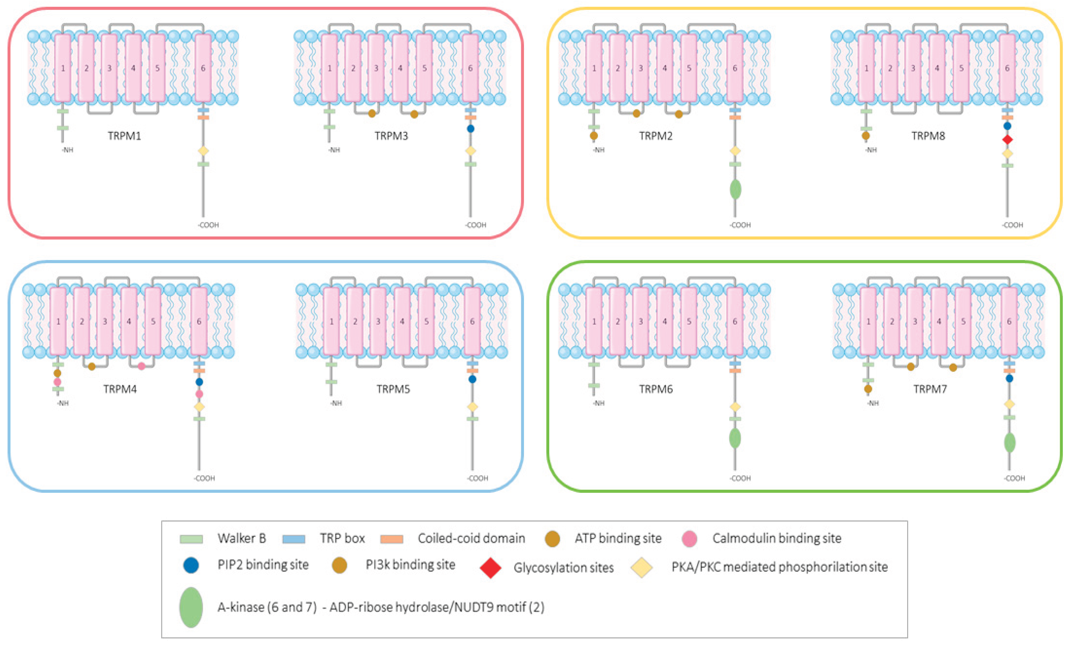 Preprints 207646 g001