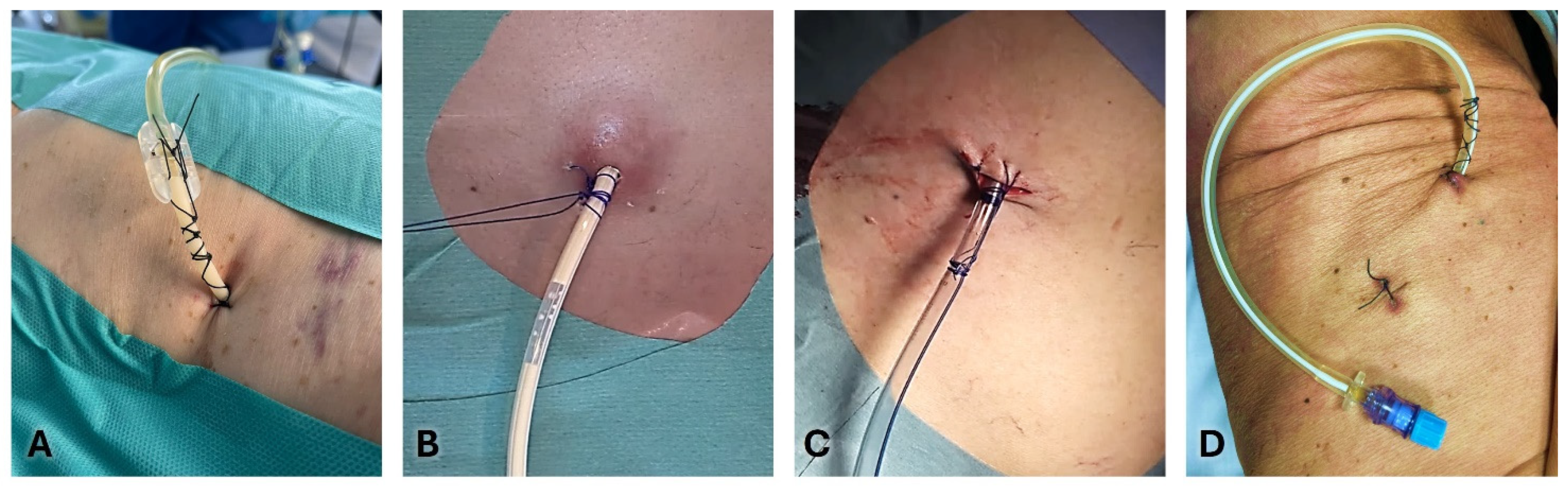 Preprints 119381 g003