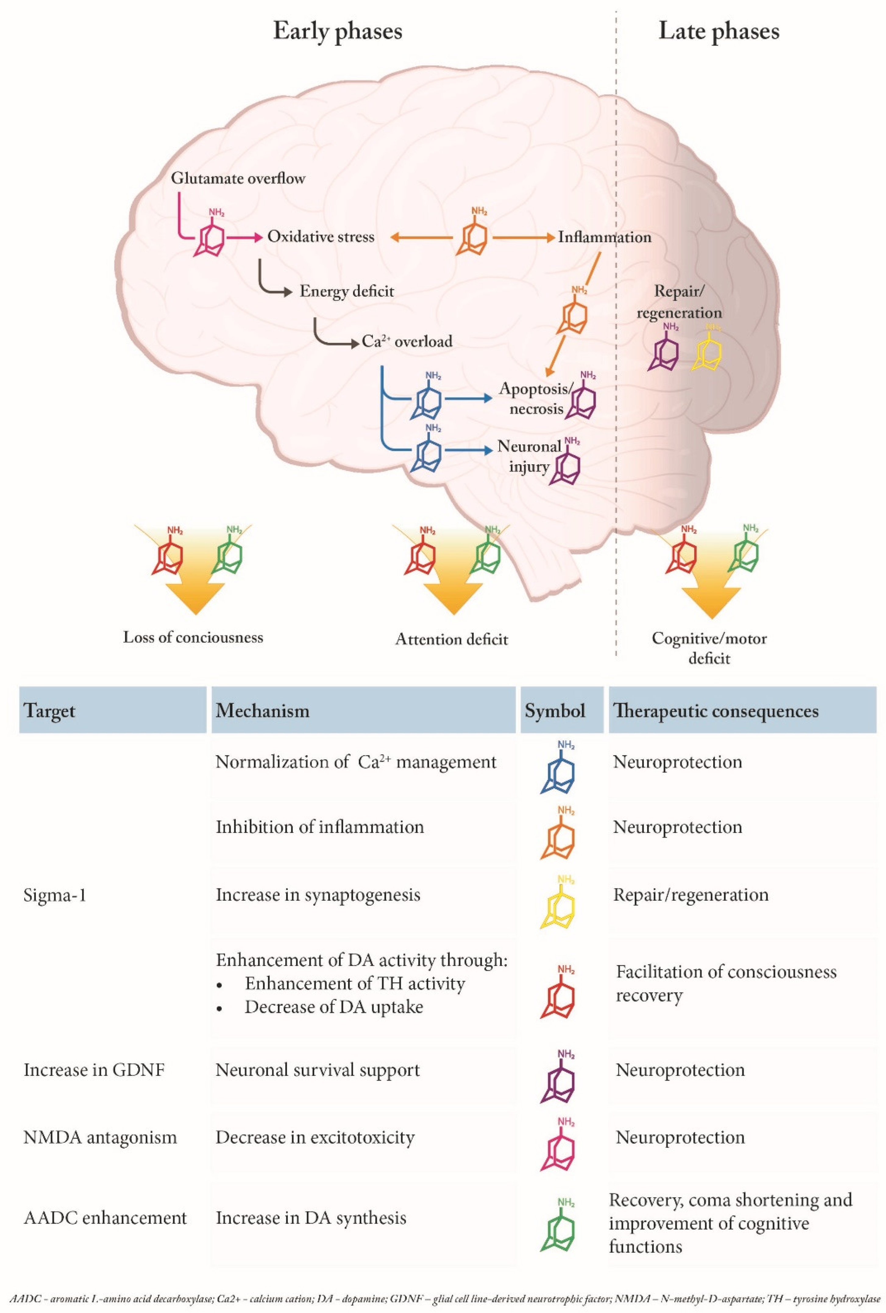 Preprints 105879 g001