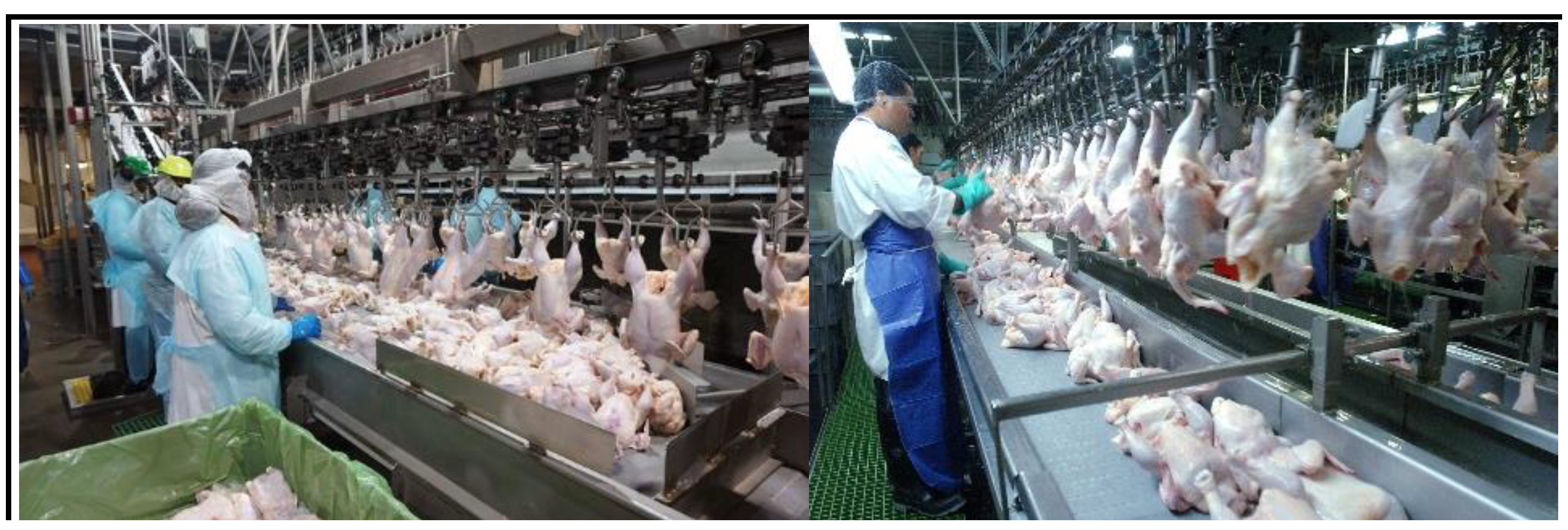 Preprints 147130 g001