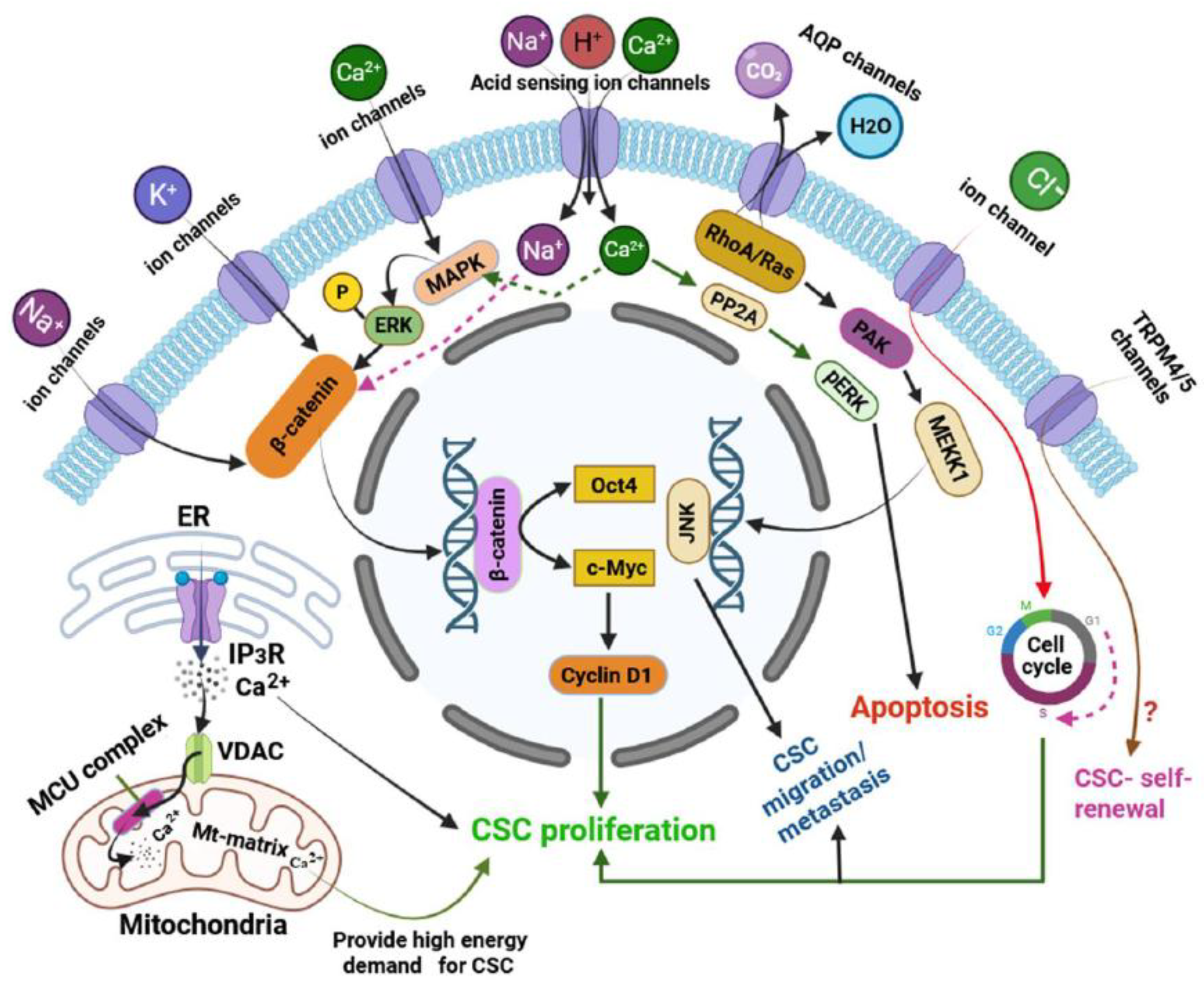 Preprints 167730 g002