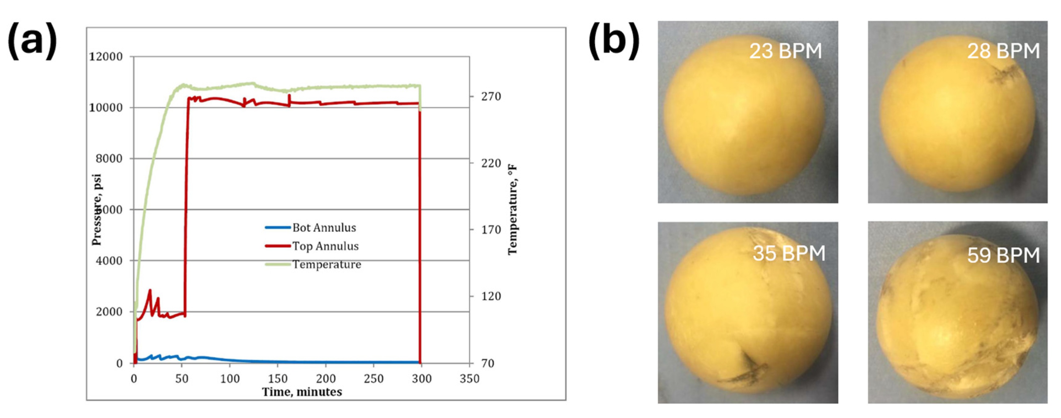Preprints 148696 g019