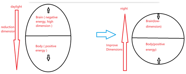 Preprints 157633 i001