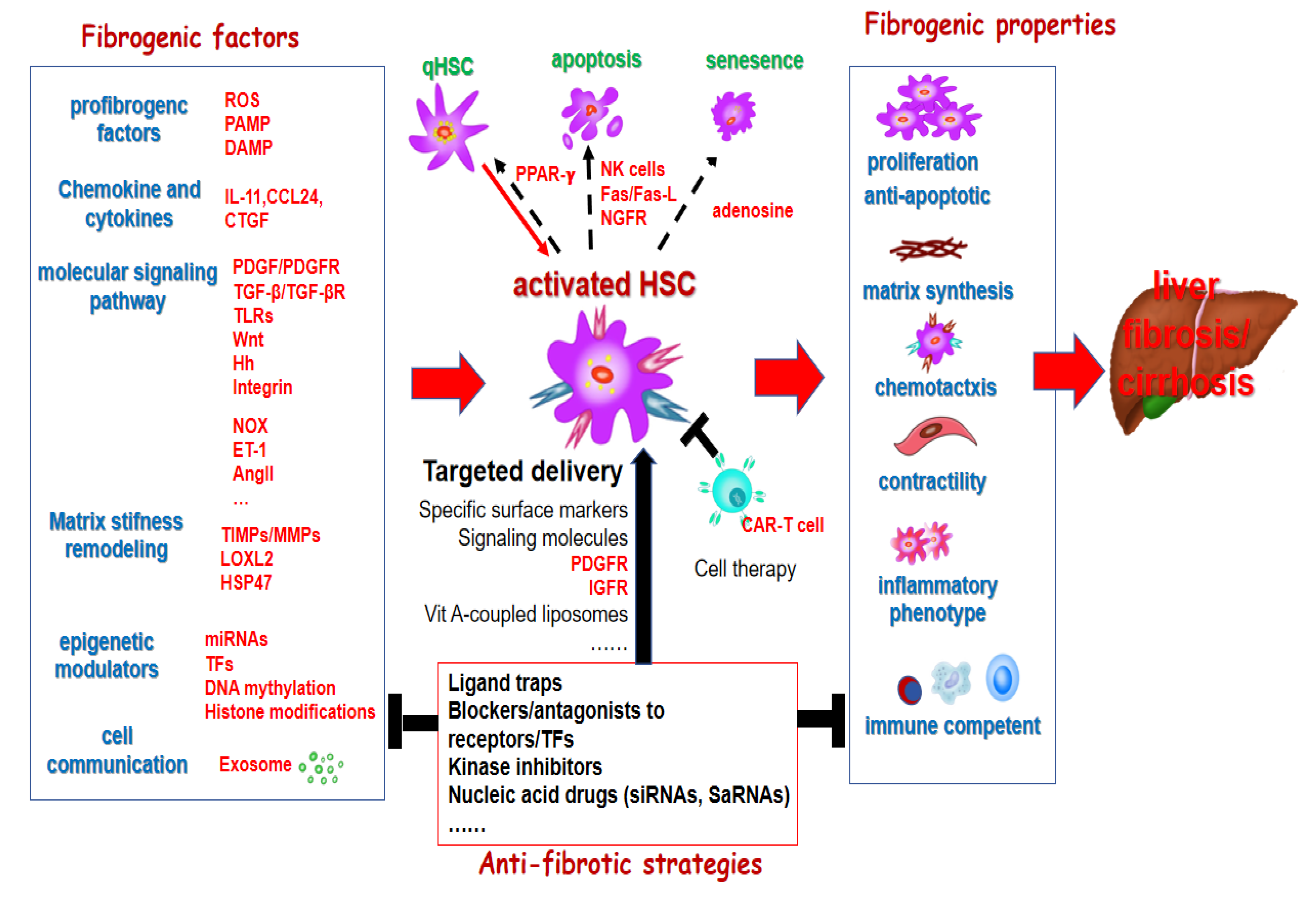 Preprints 150241 g001