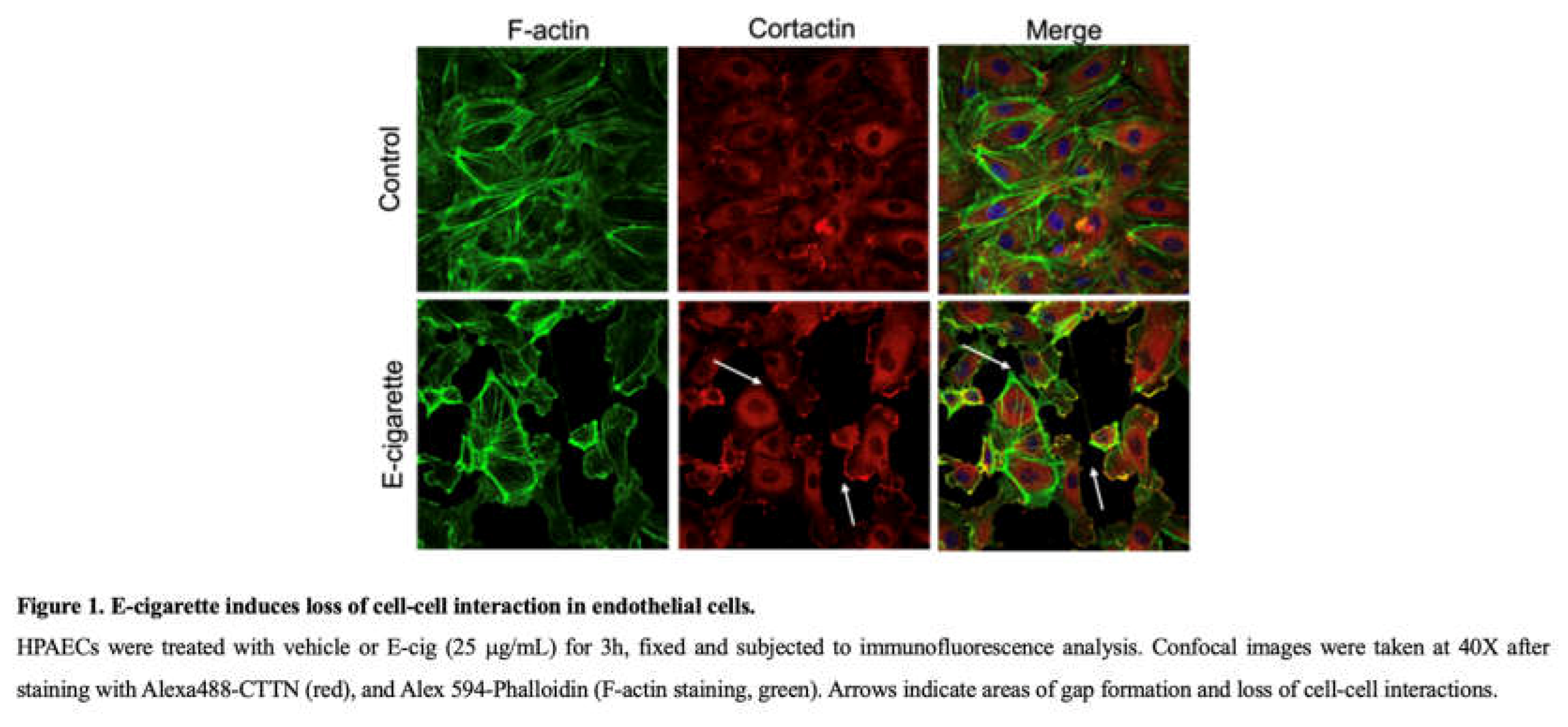Preprints 180738 g001