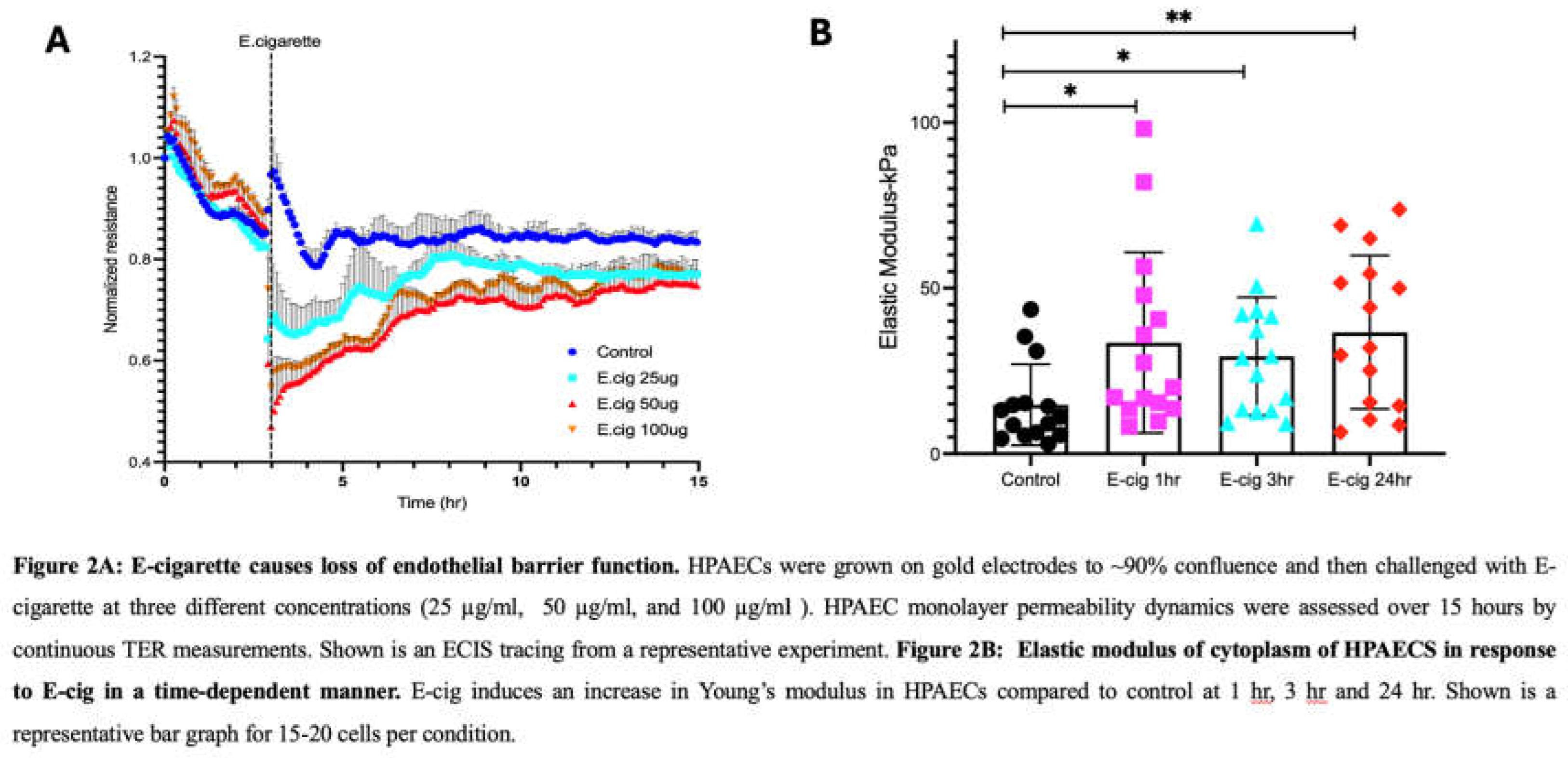 Preprints 180738 g002