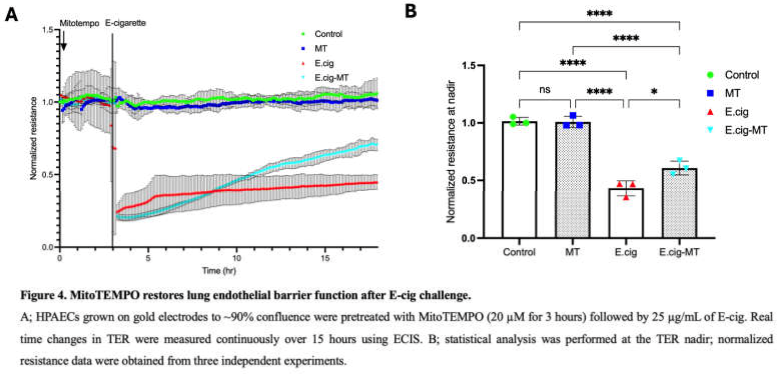 Preprints 180738 g004