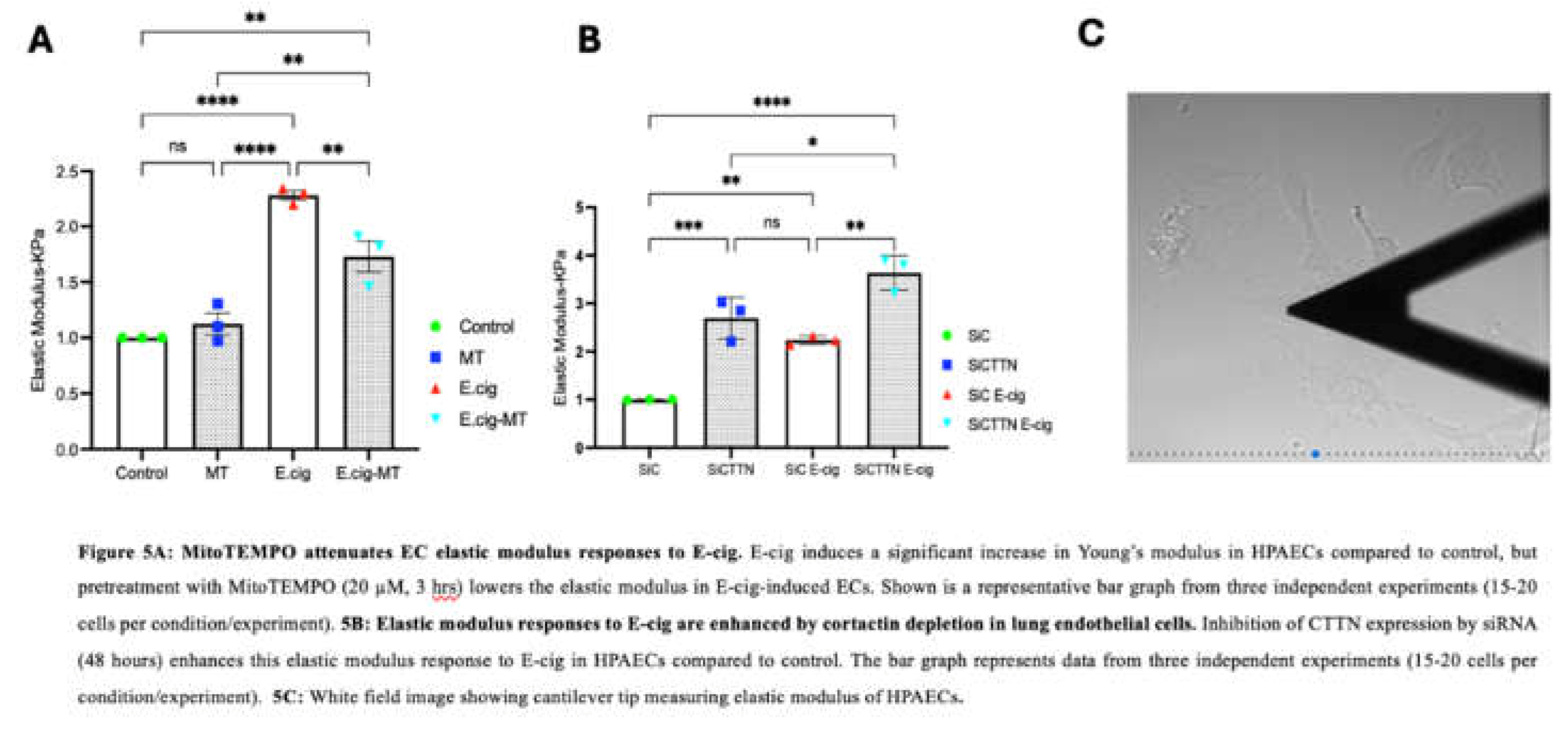 Preprints 180738 g005