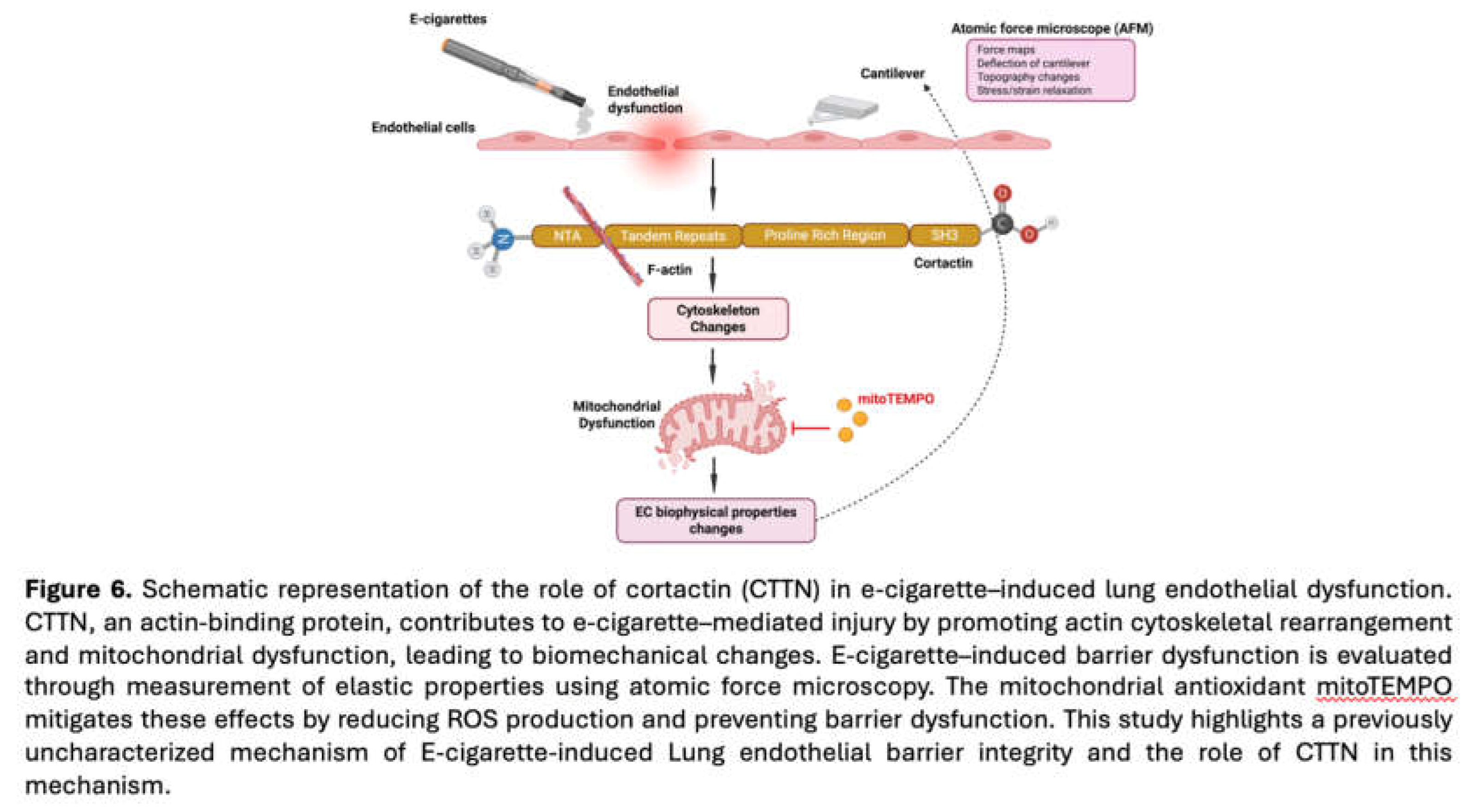 Preprints 180738 g006