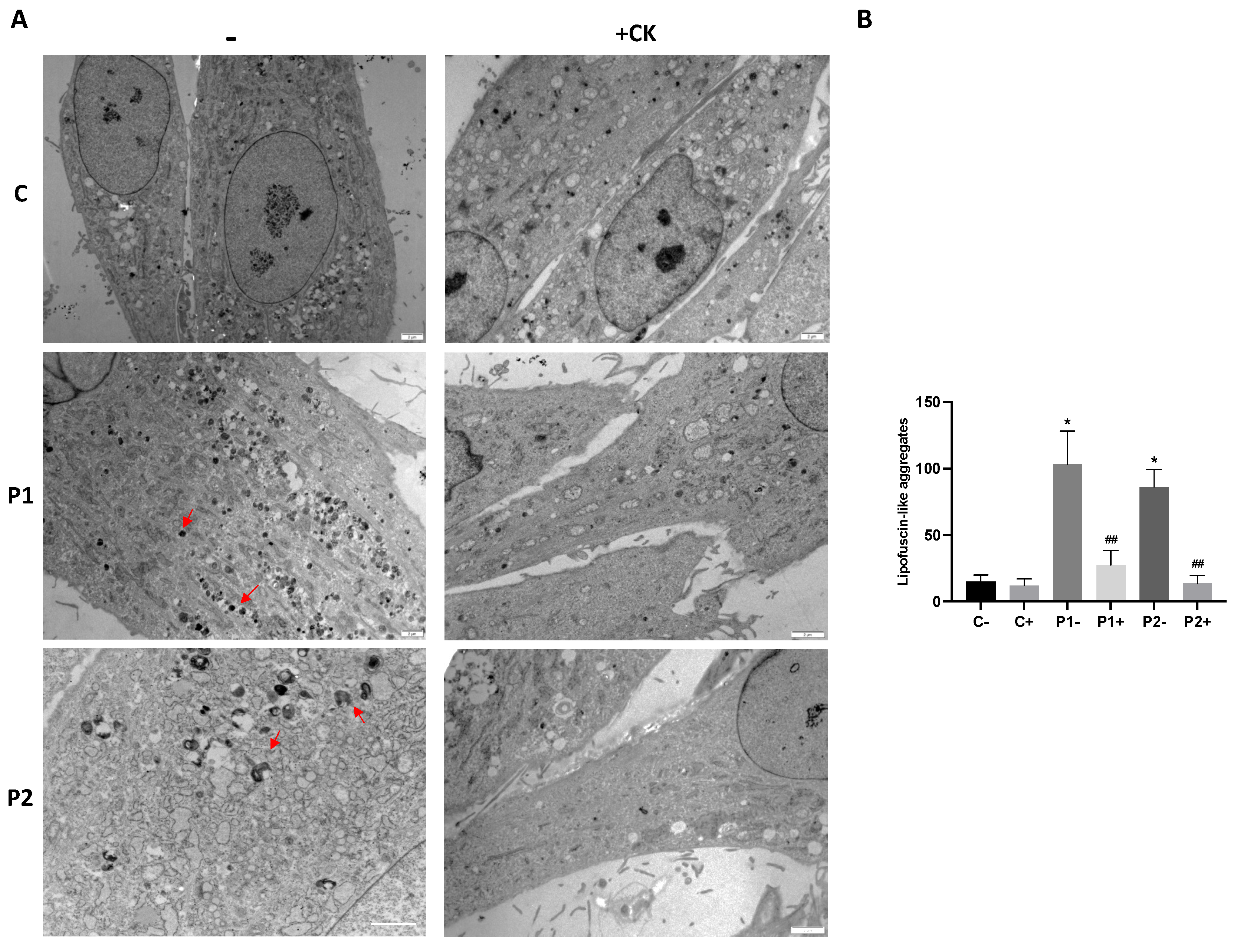 Preprints 75000 g012