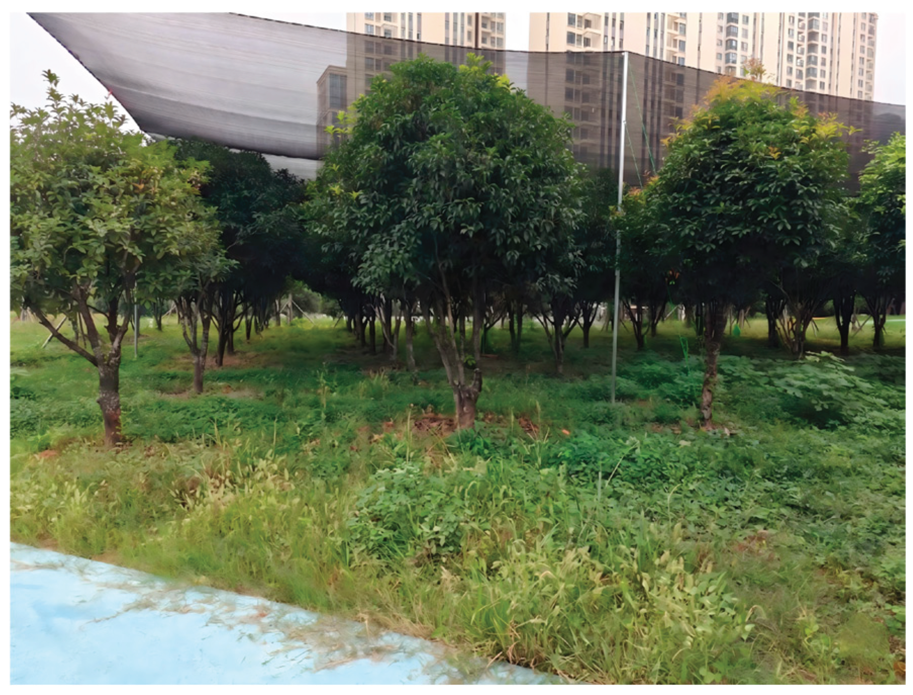 Preprints 209510 g001