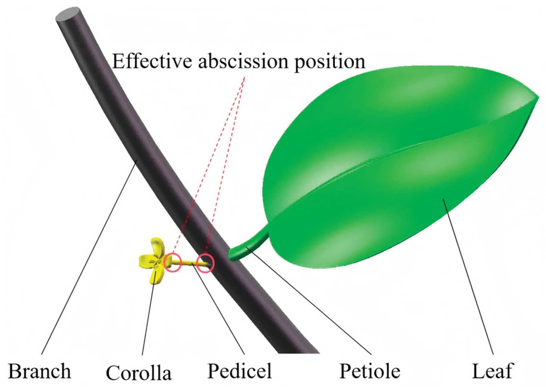 Preprints 209510 g003