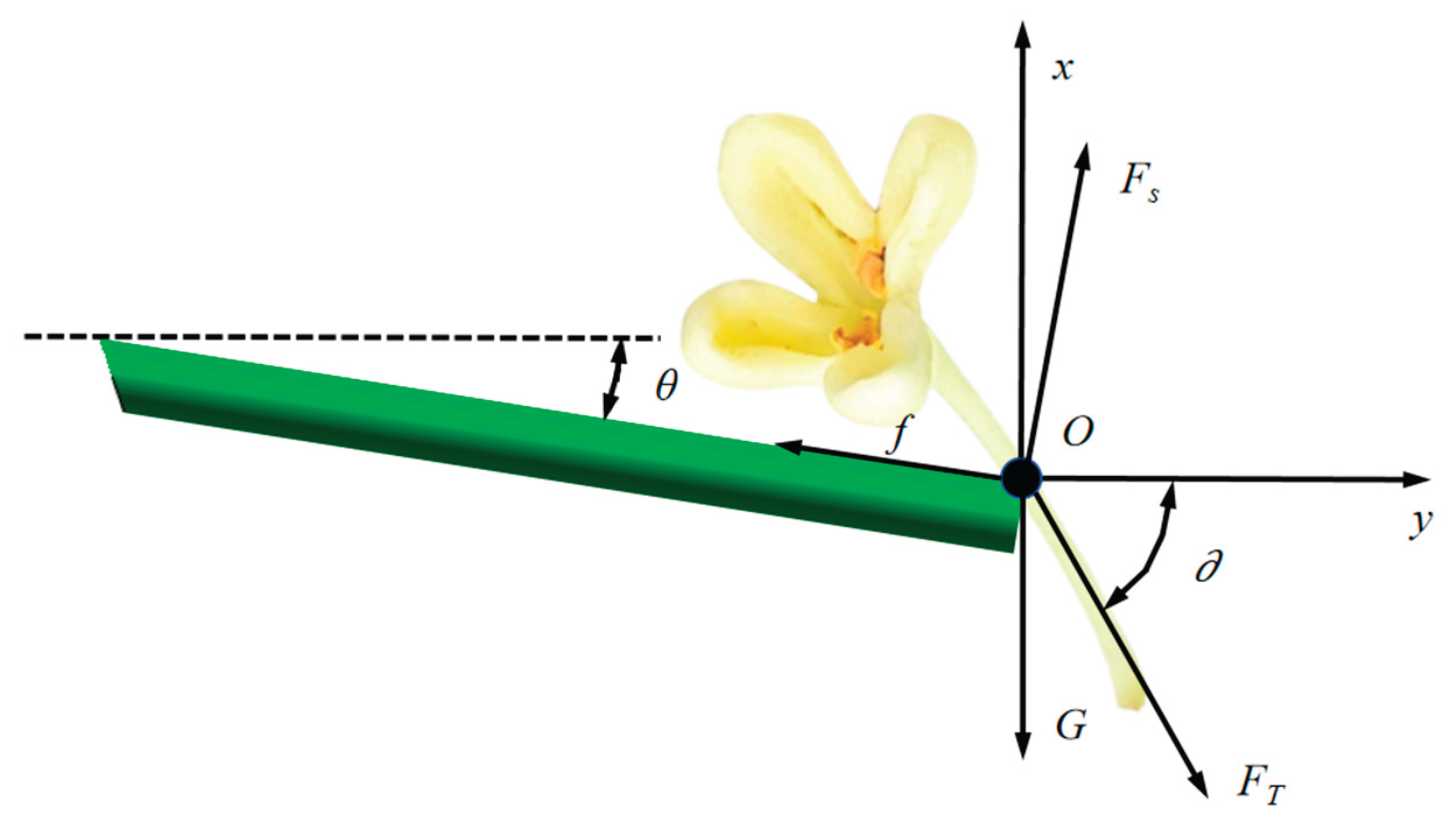 Preprints 209510 g007