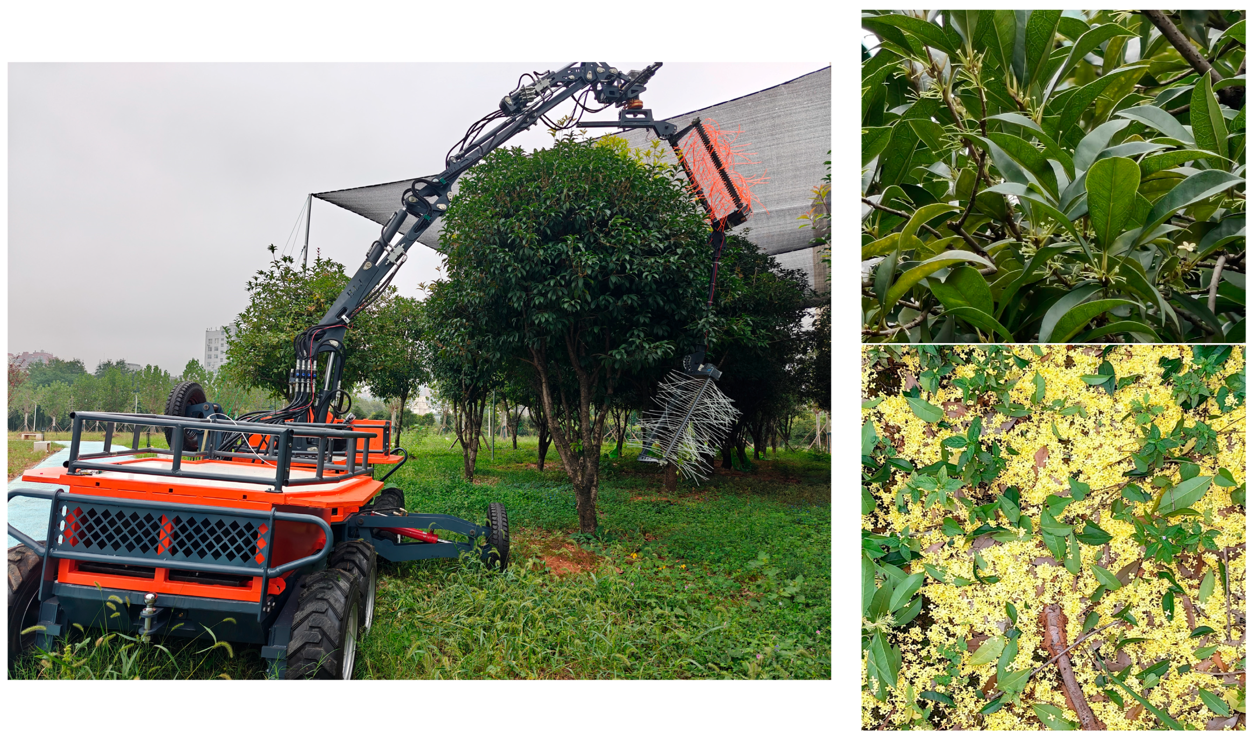 Preprints 209510 g014