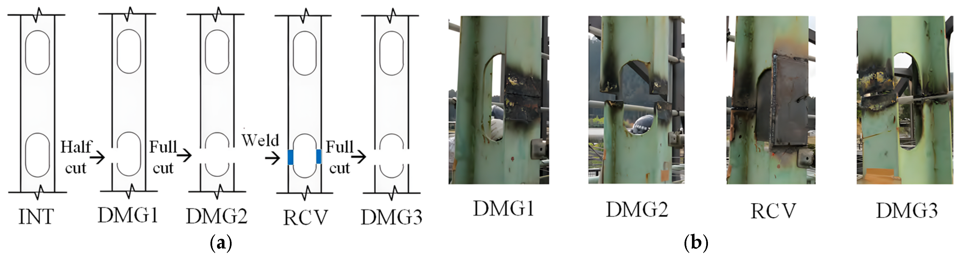 Preprints 166554 g010