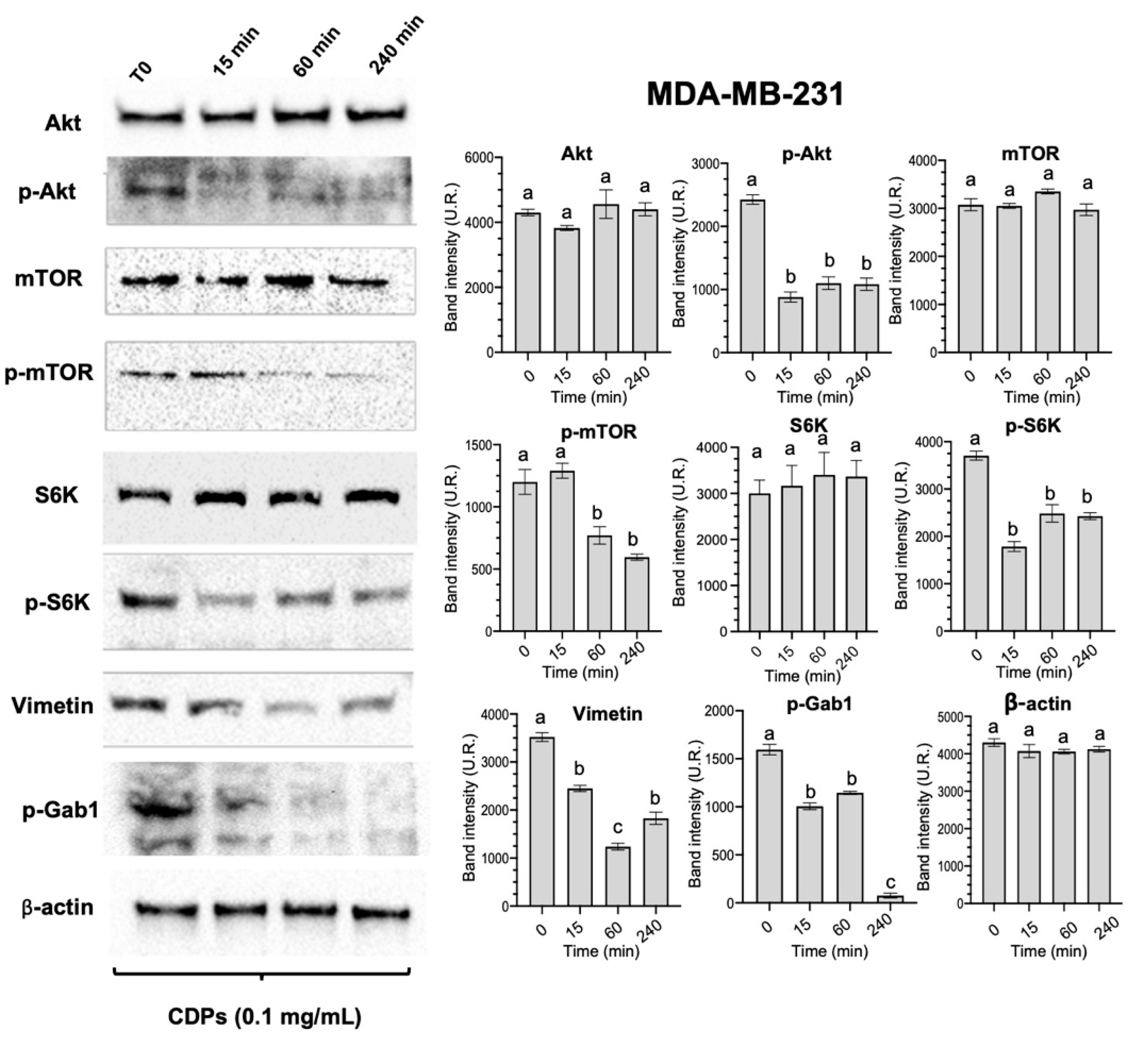 Preprints 194718 g002