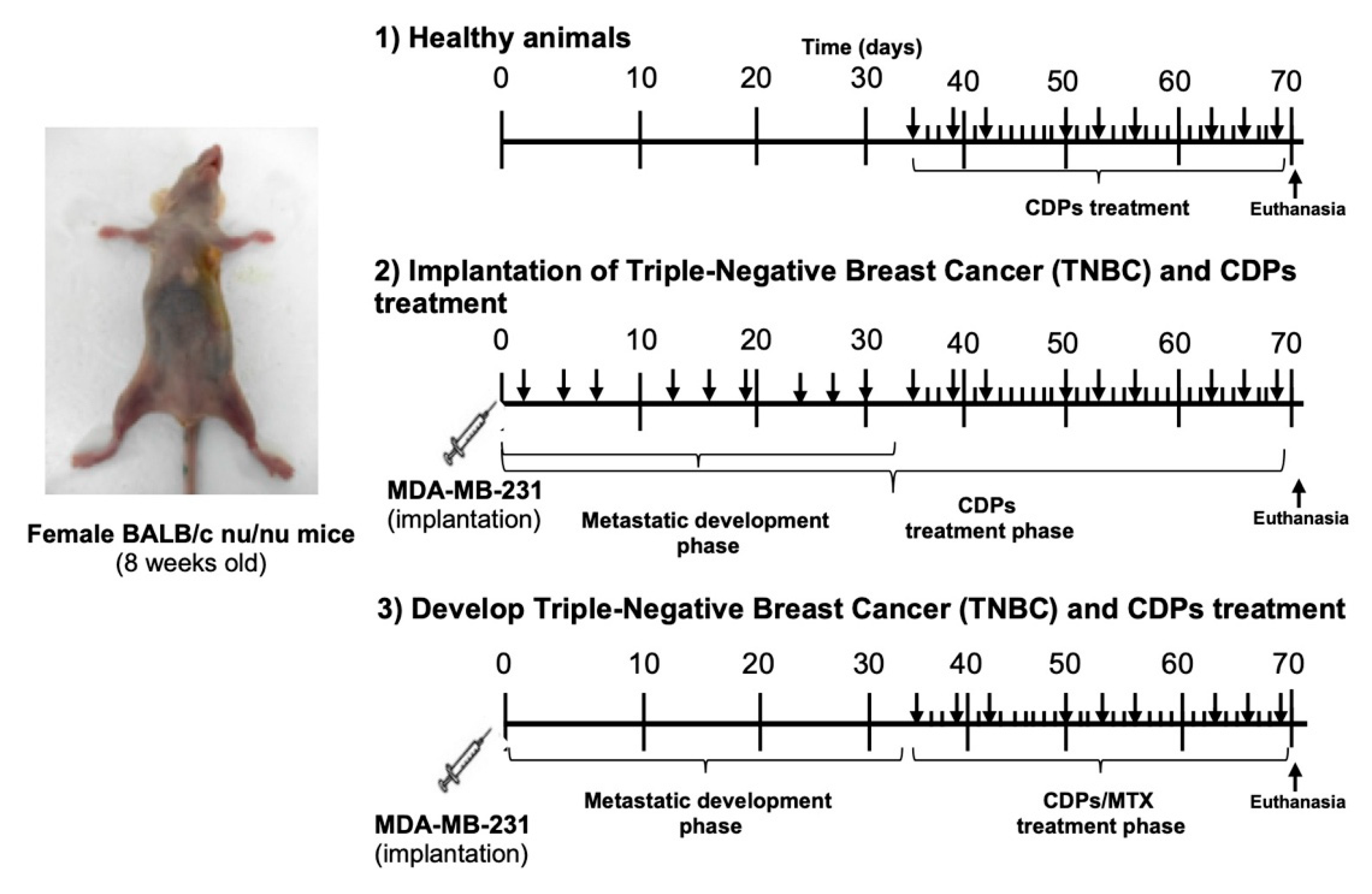 Preprints 194718 g003