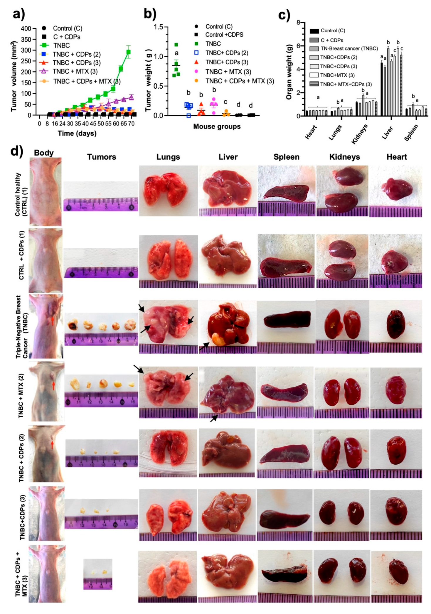 Preprints 194718 g004