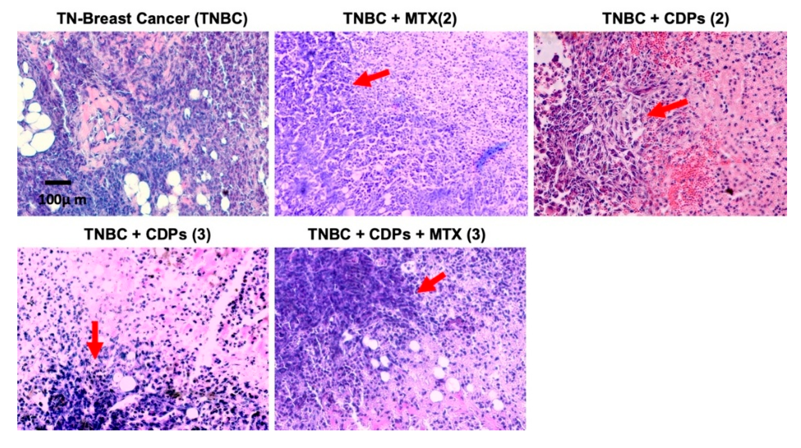 Preprints 194718 g006