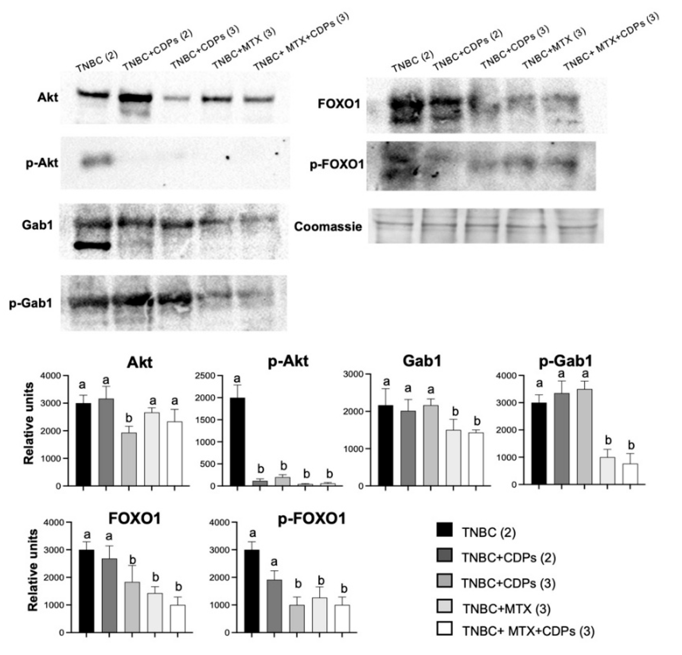 Preprints 194718 g007