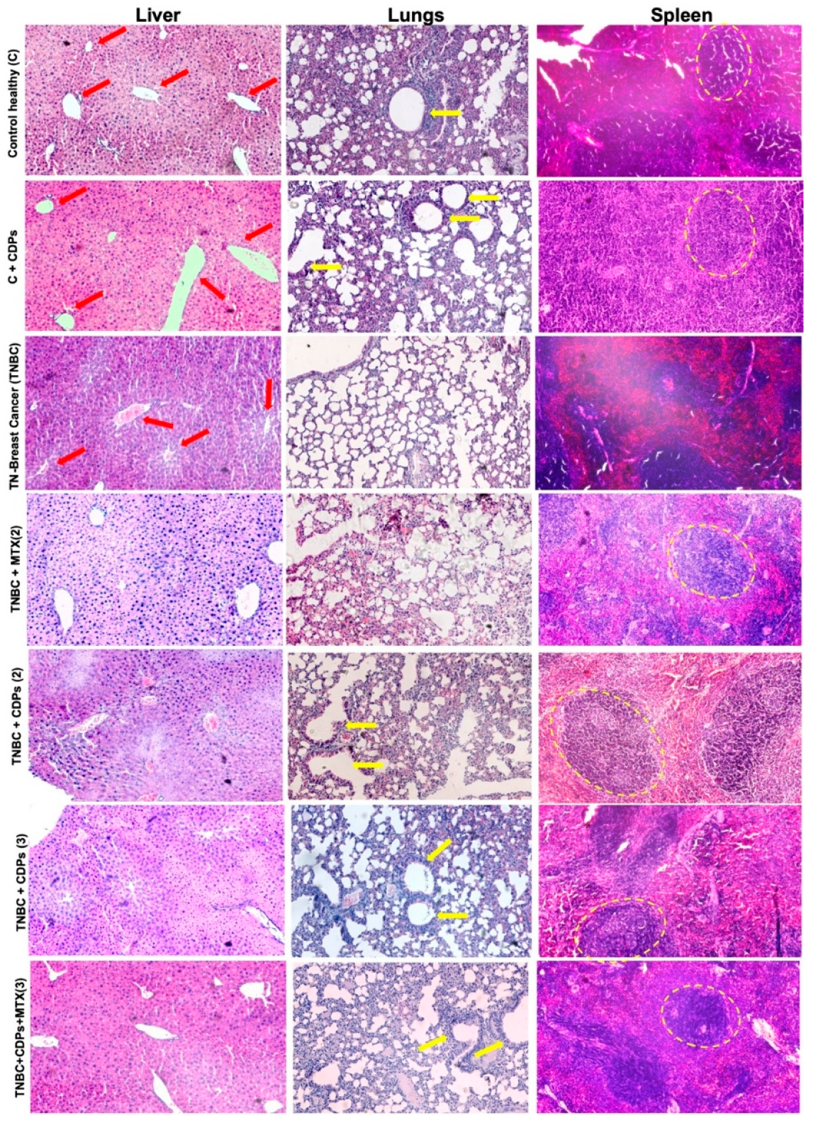 Preprints 194718 g008