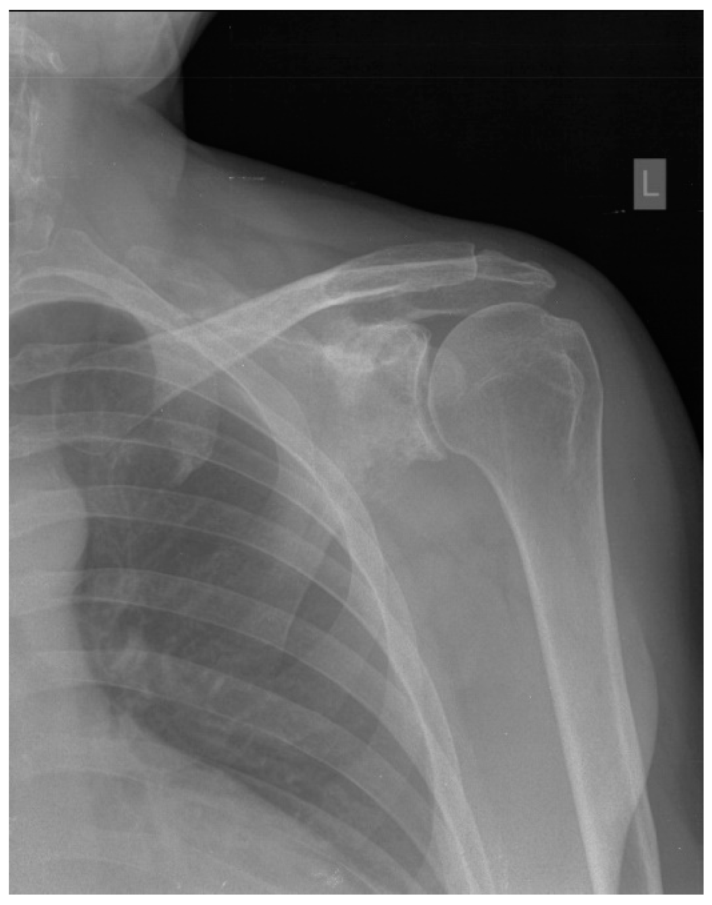 Preprints 96611 g001