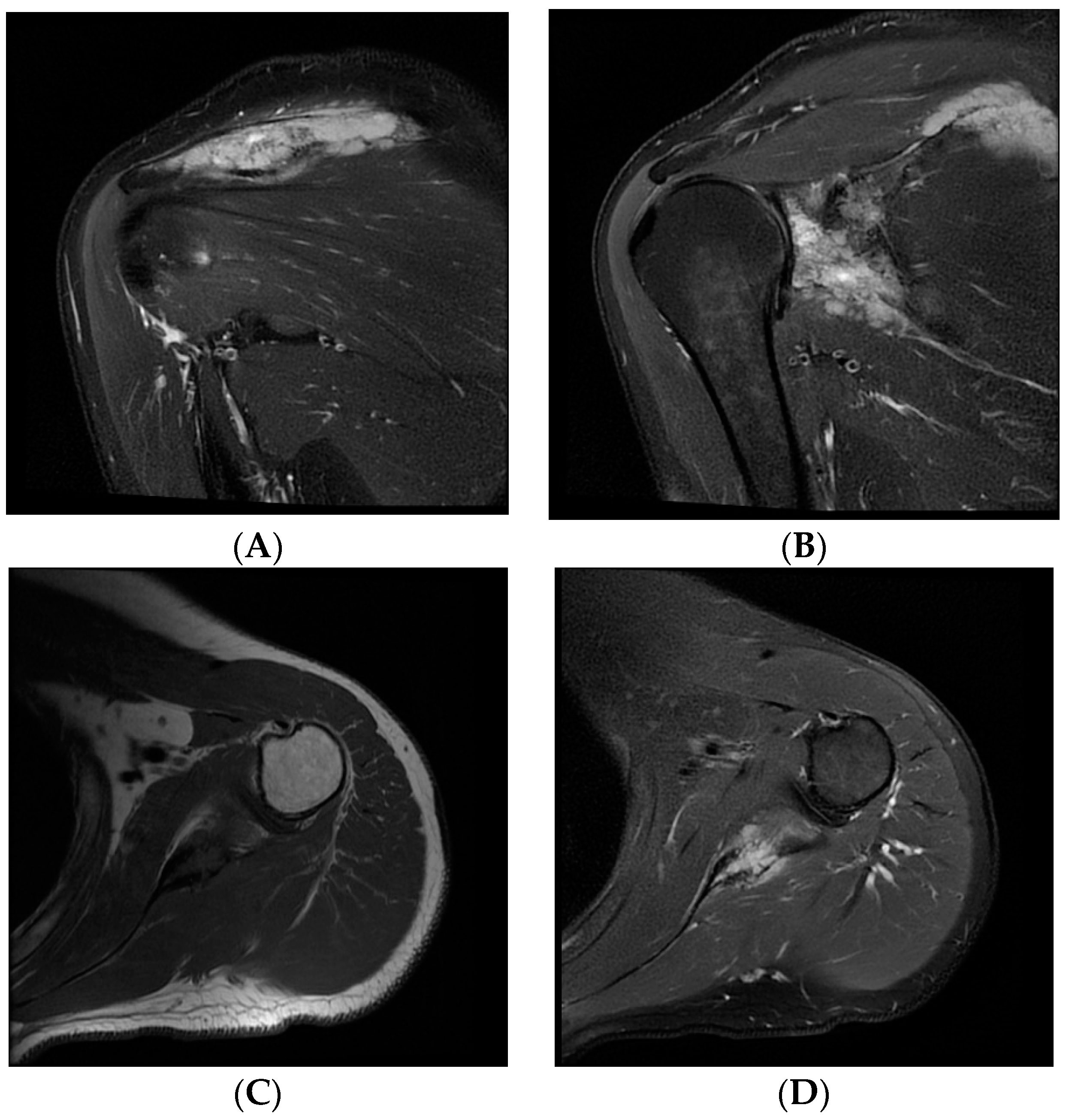 Preprints 96611 g002