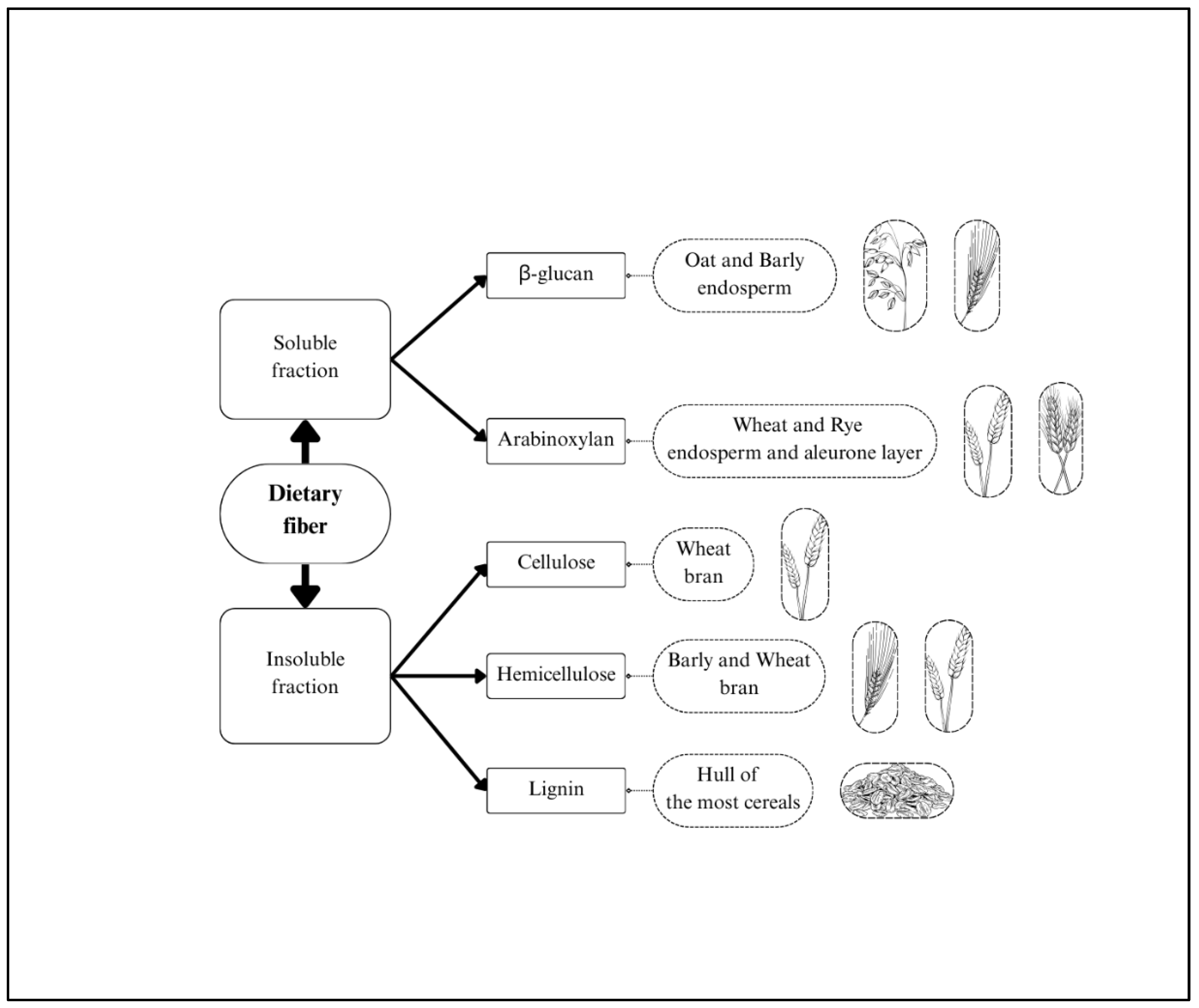 Preprints 162212 g002