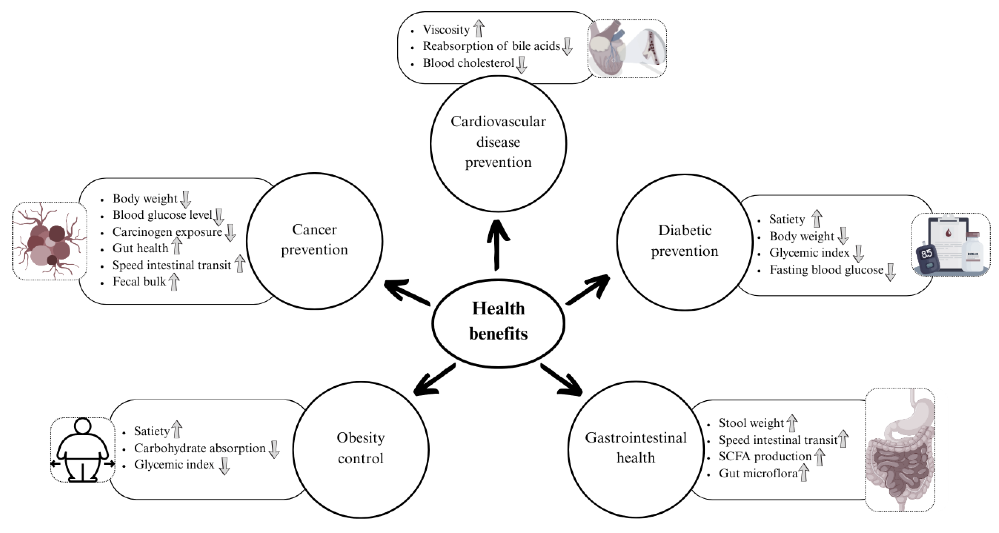 Preprints 162212 g003