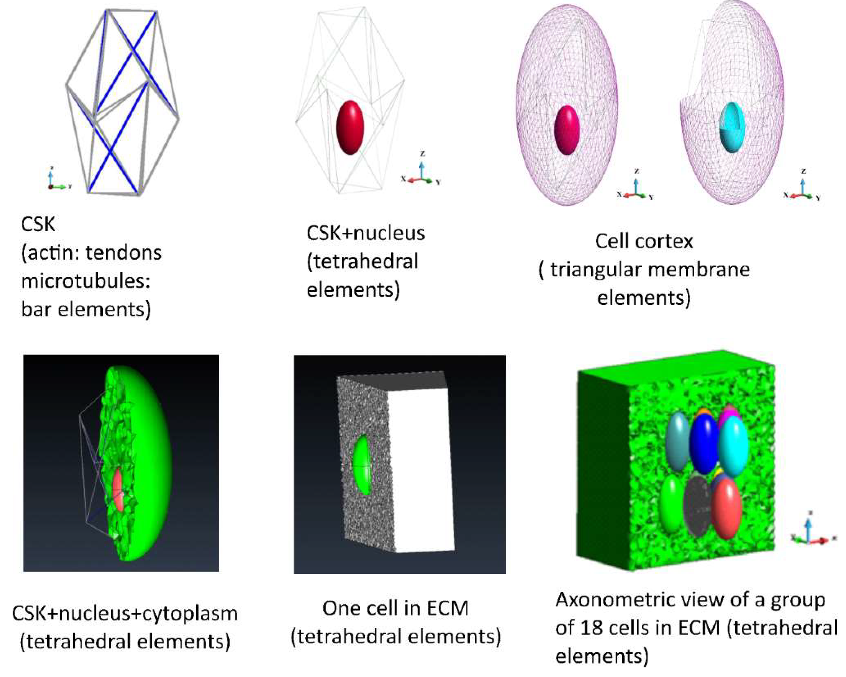 Preprints 143251 g001