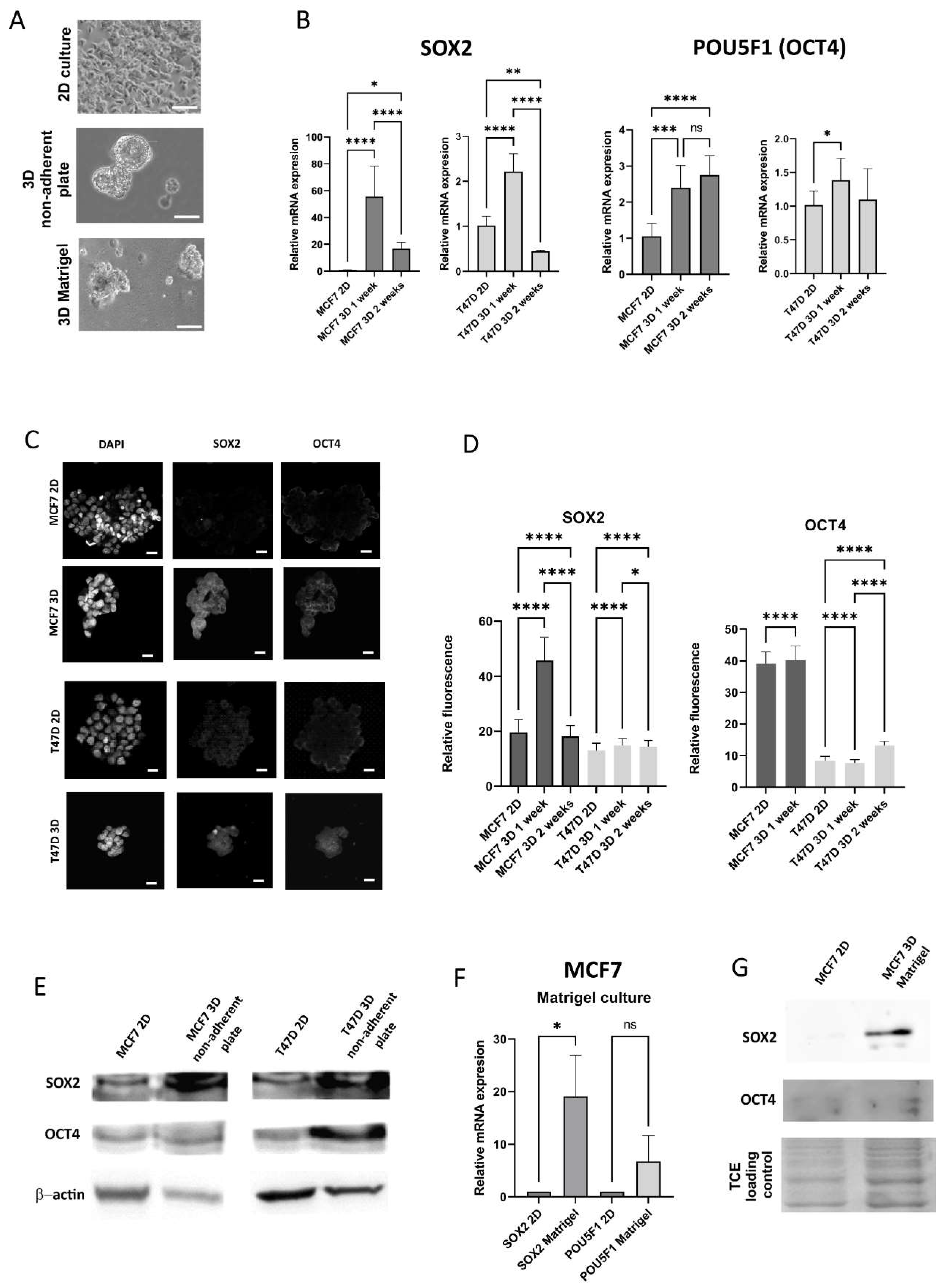 Preprints 143251 g002
