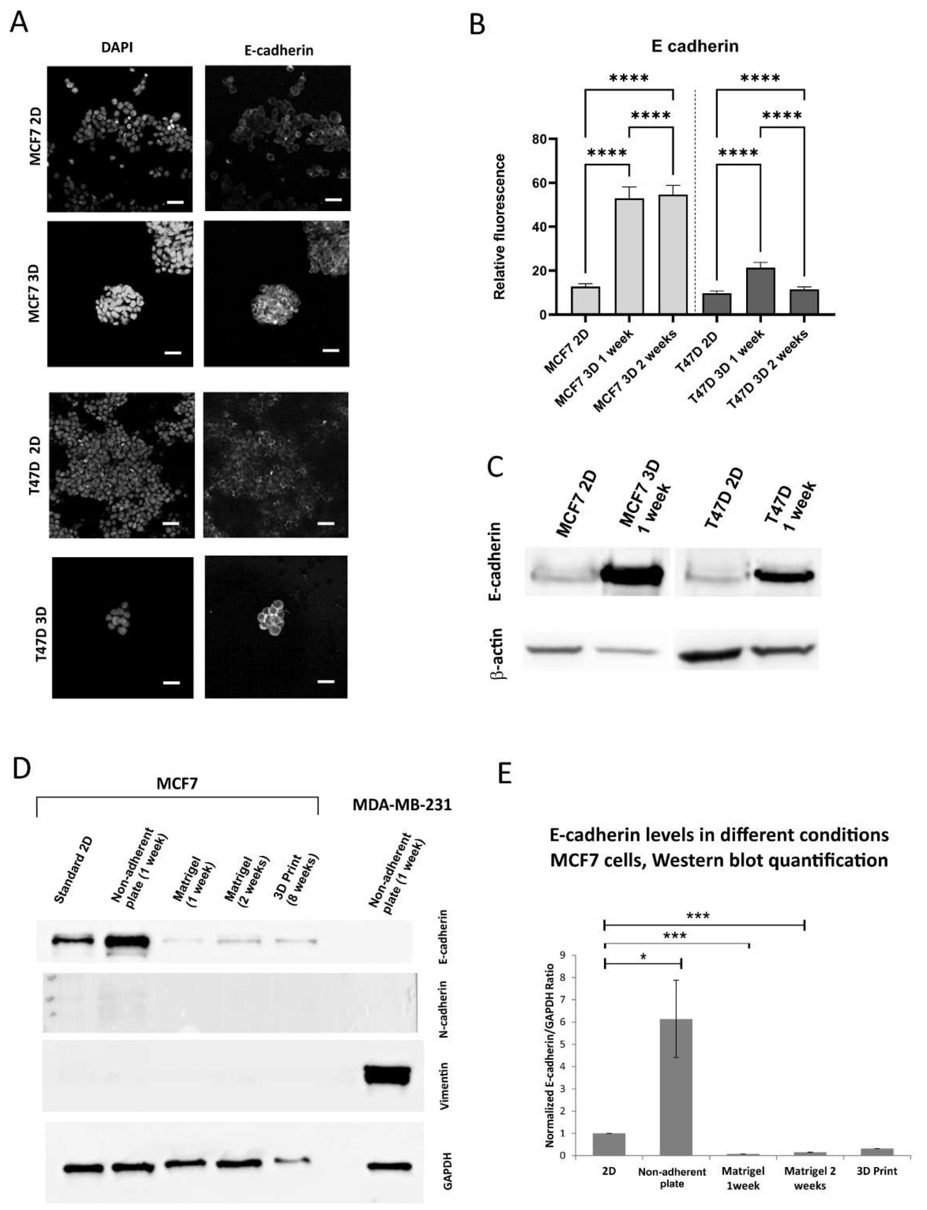 Preprints 143251 g003