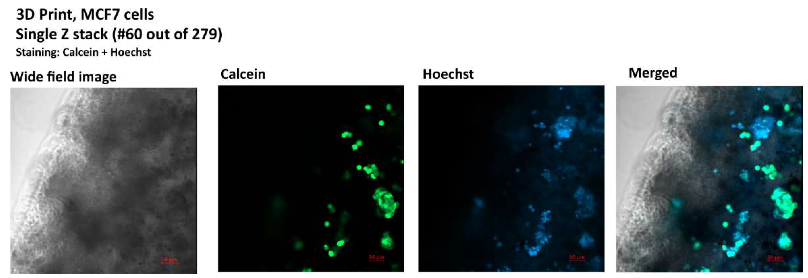 Preprints 143251 g004