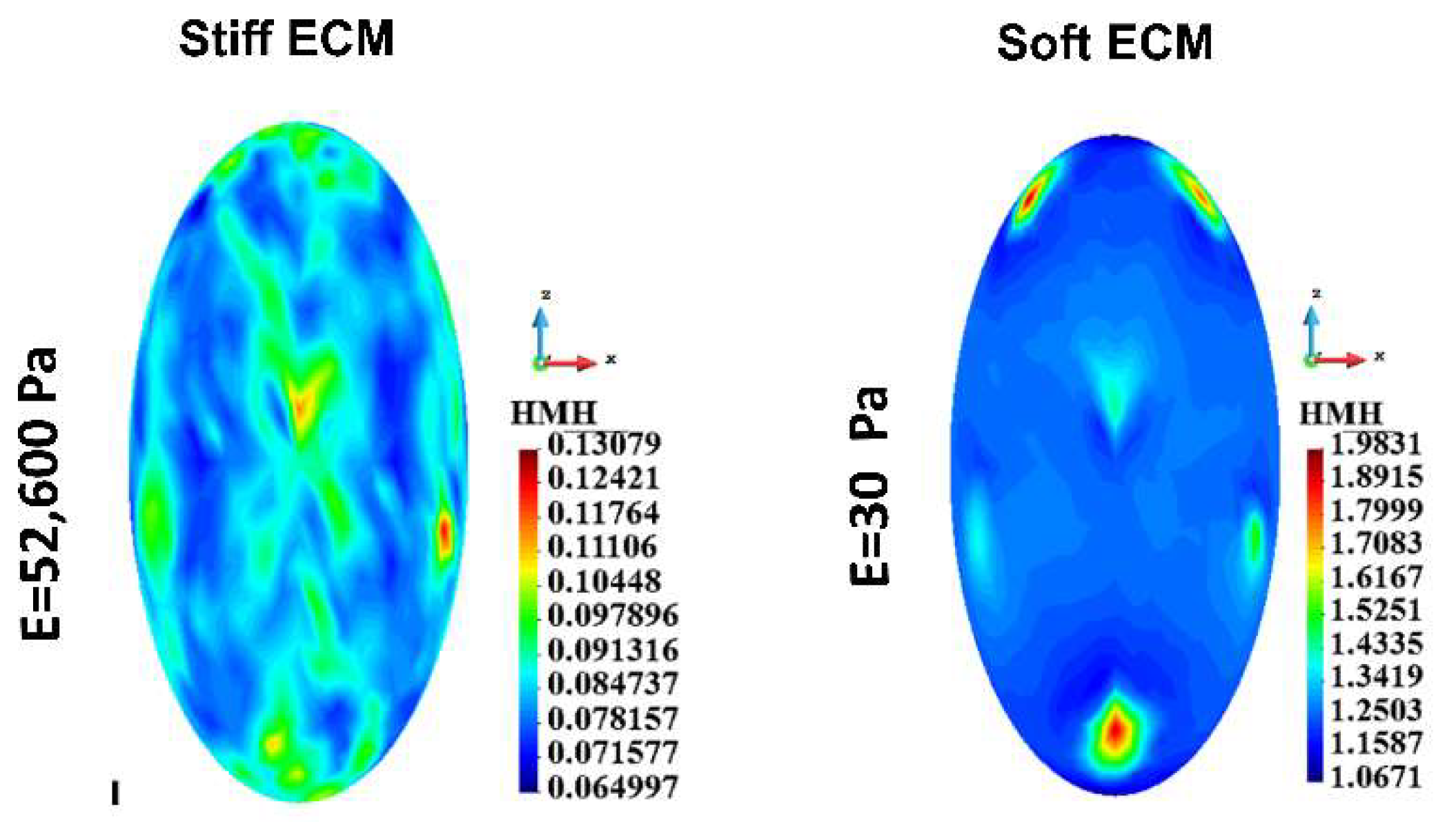 Preprints 143251 g007