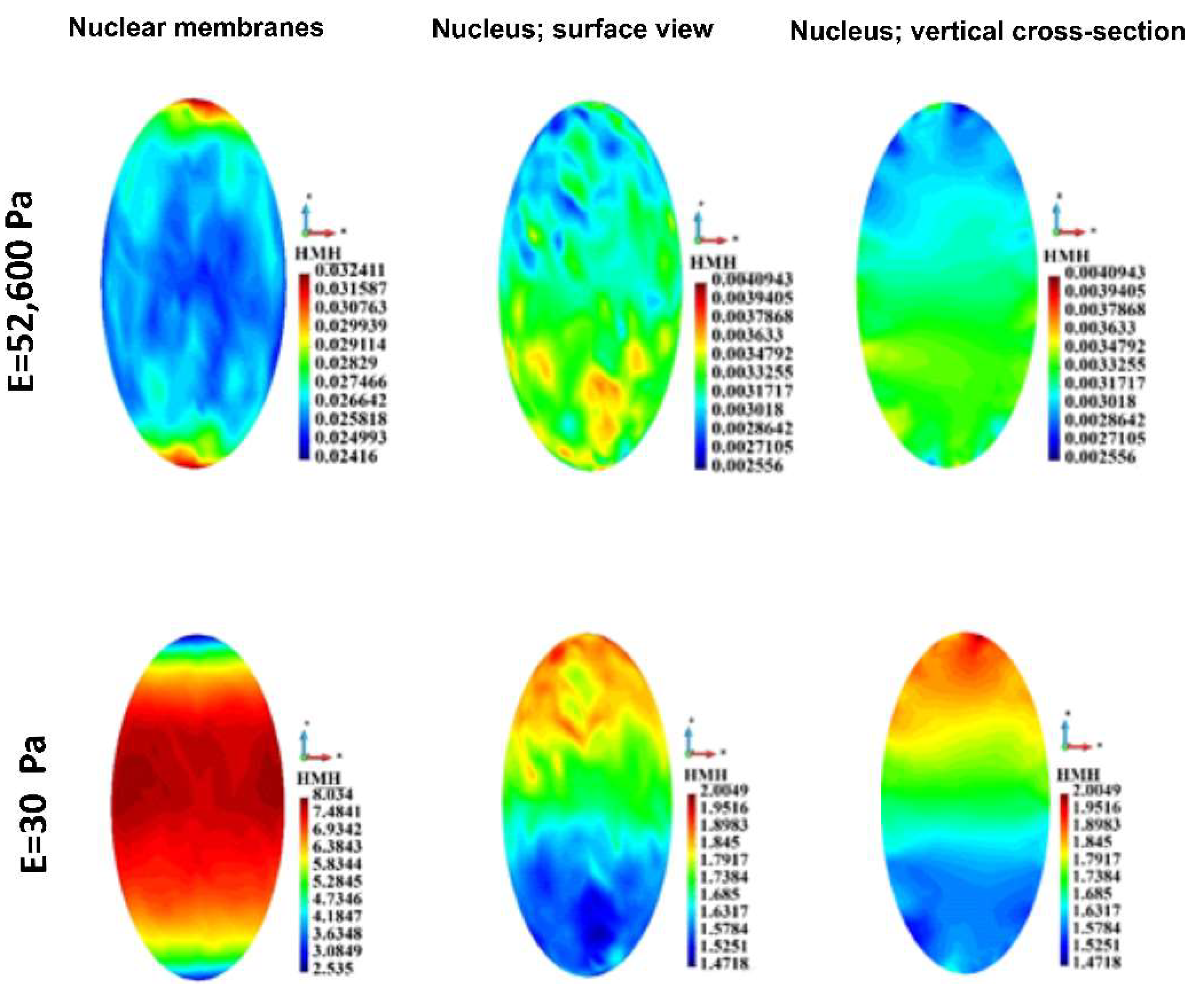 Preprints 143251 g011