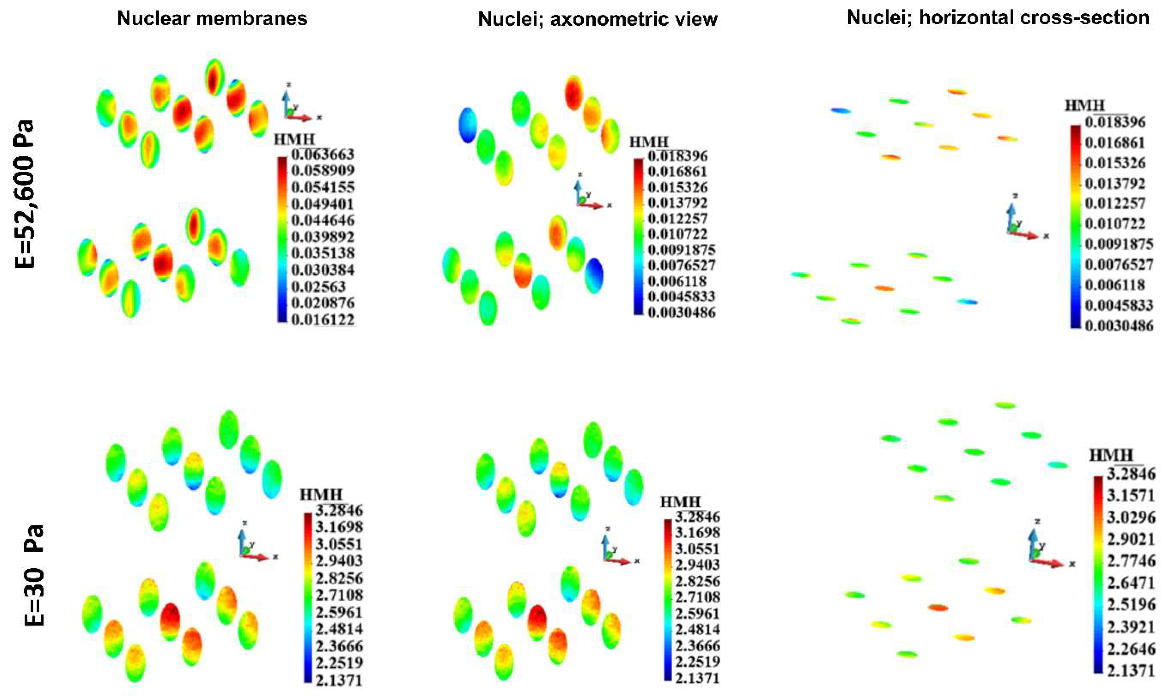 Preprints 143251 g012