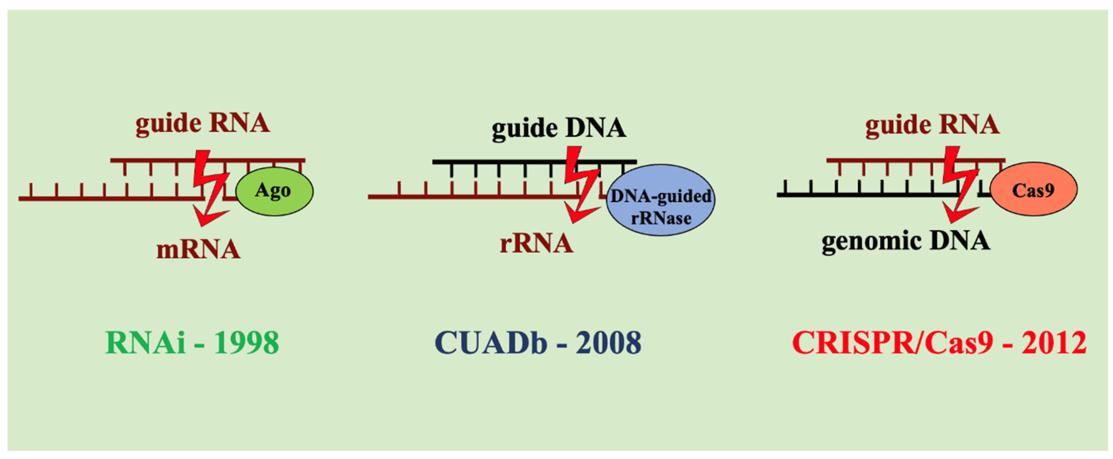 Preprints 175285 g001