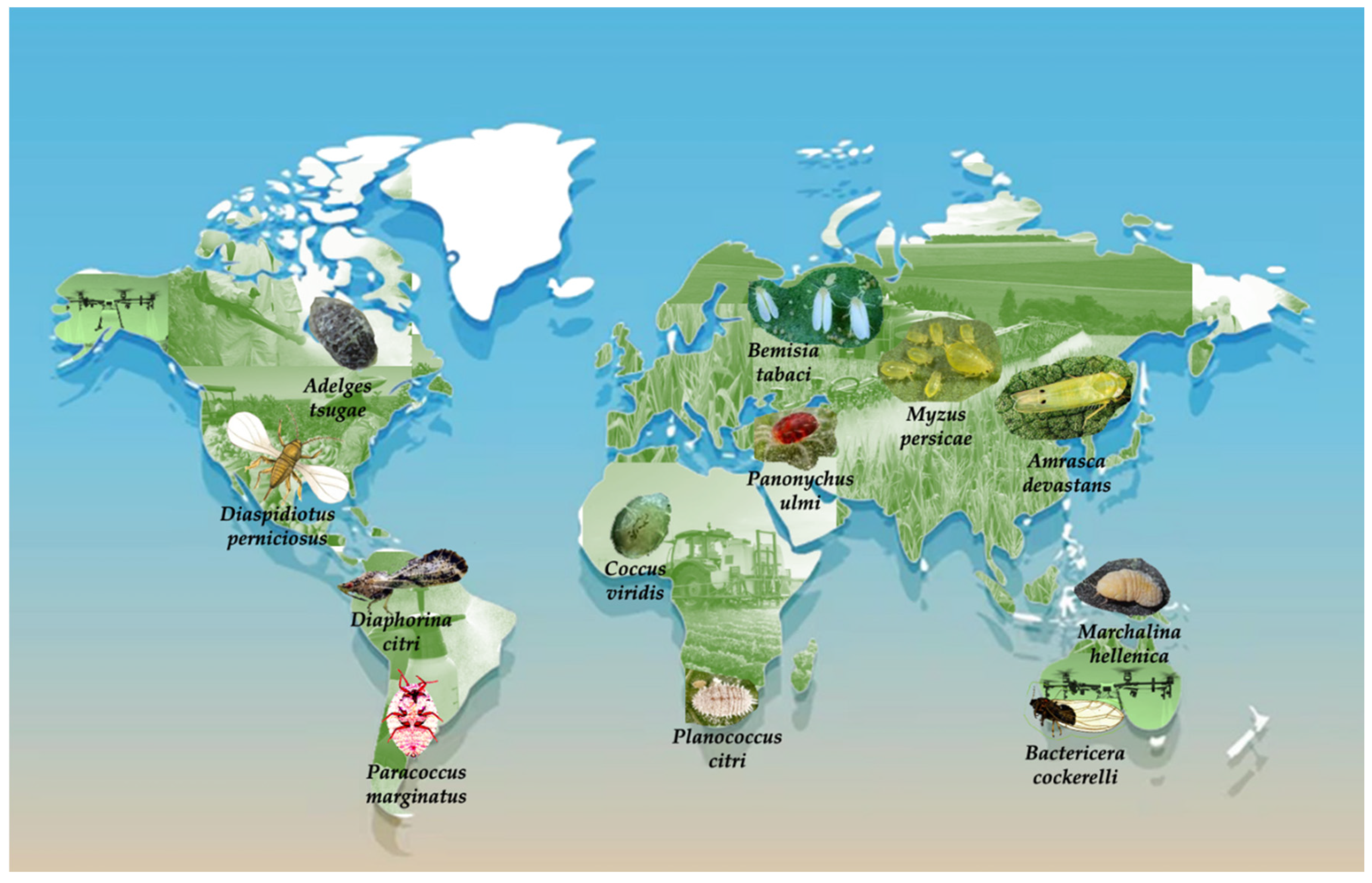 Preprints 175285 g002