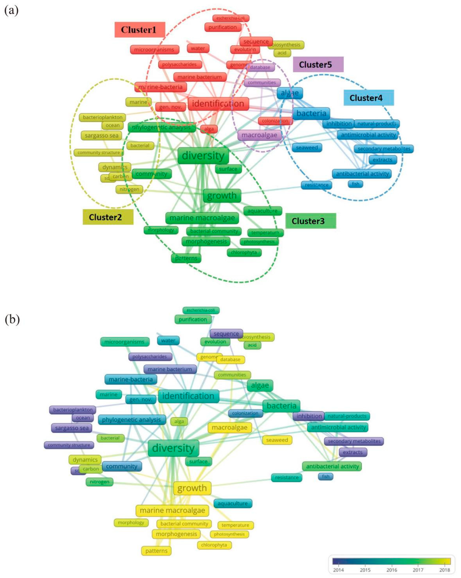 Preprints 154648 g006