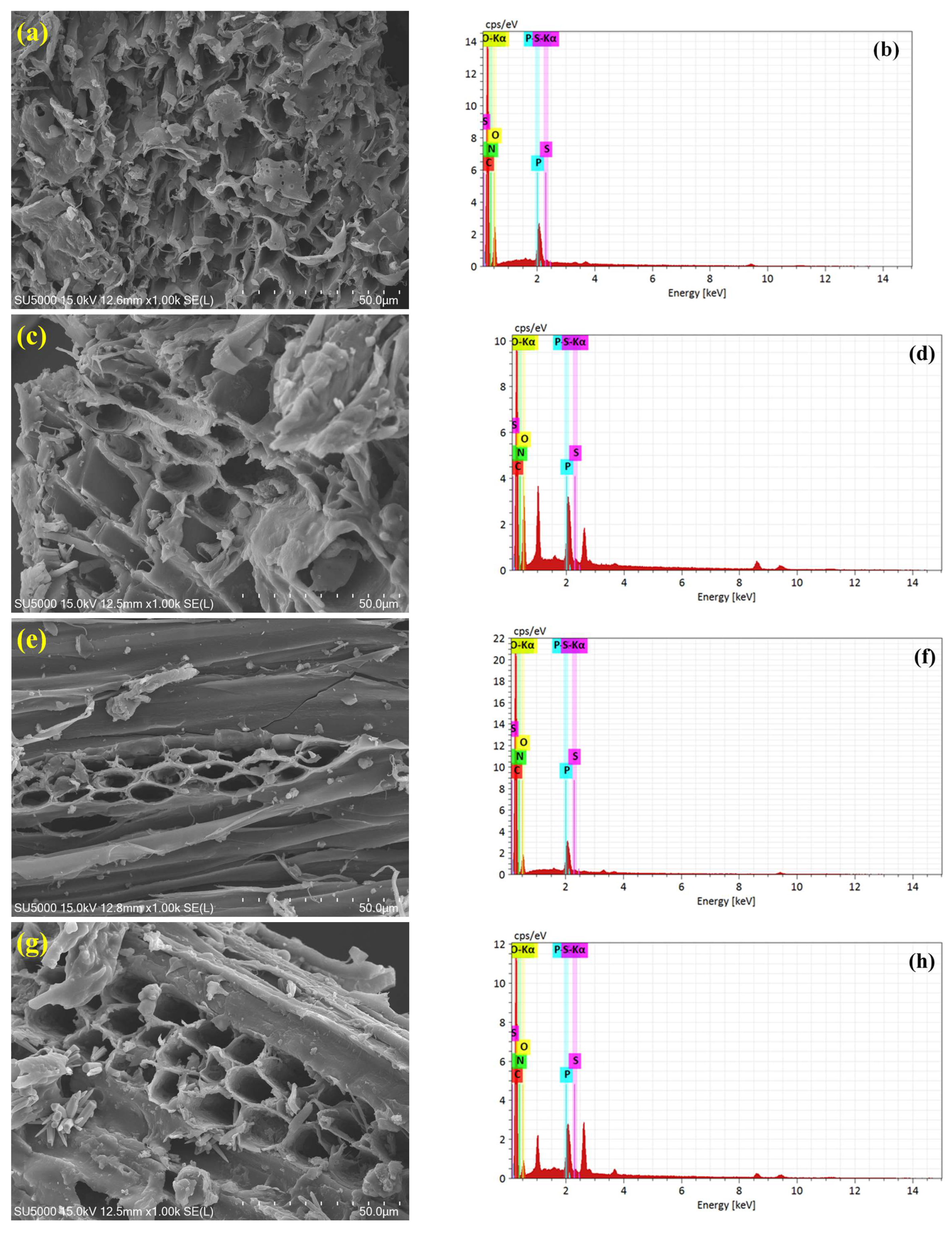 Preprints 162978 g001